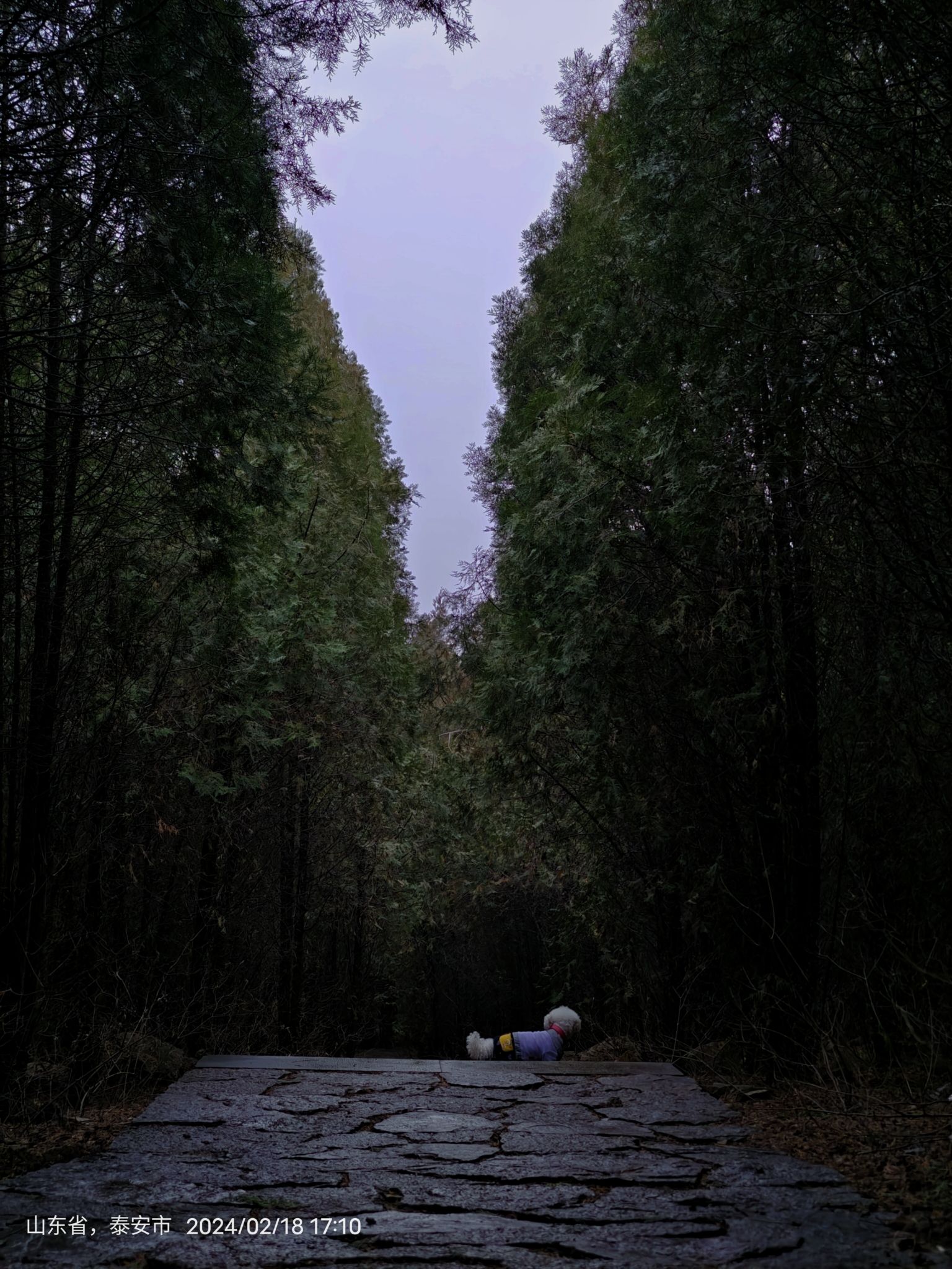 白云山公园旅行图片