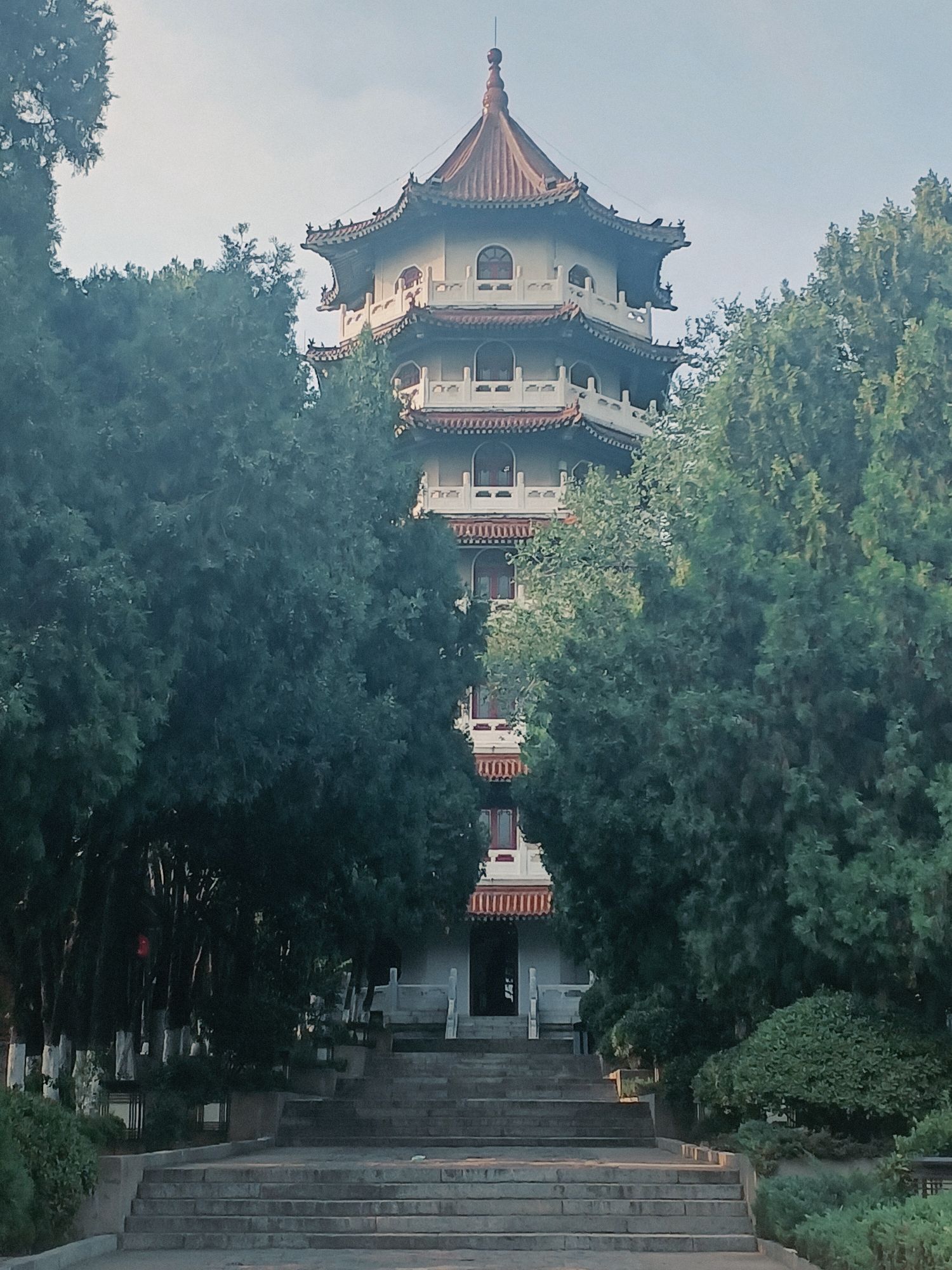 龙山公园旅行图片