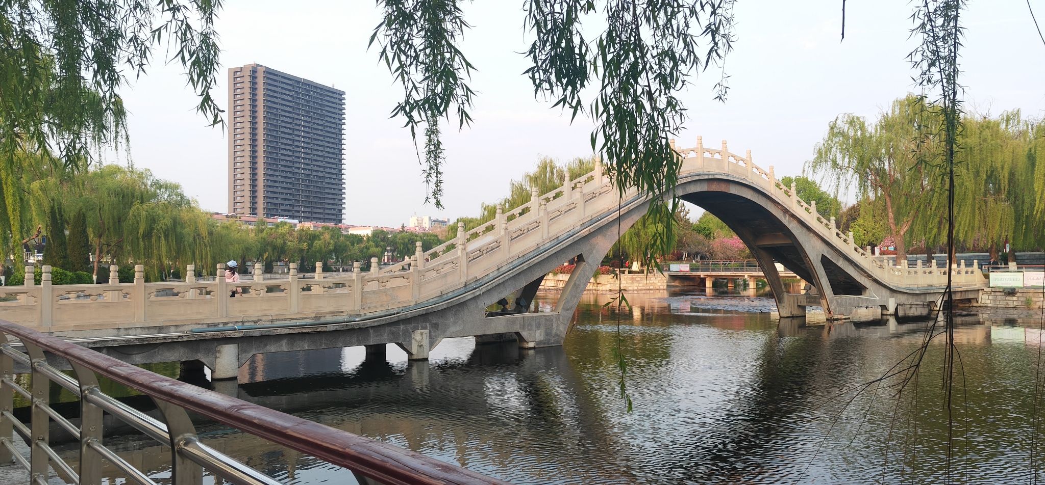 龙山公园旅行图片
