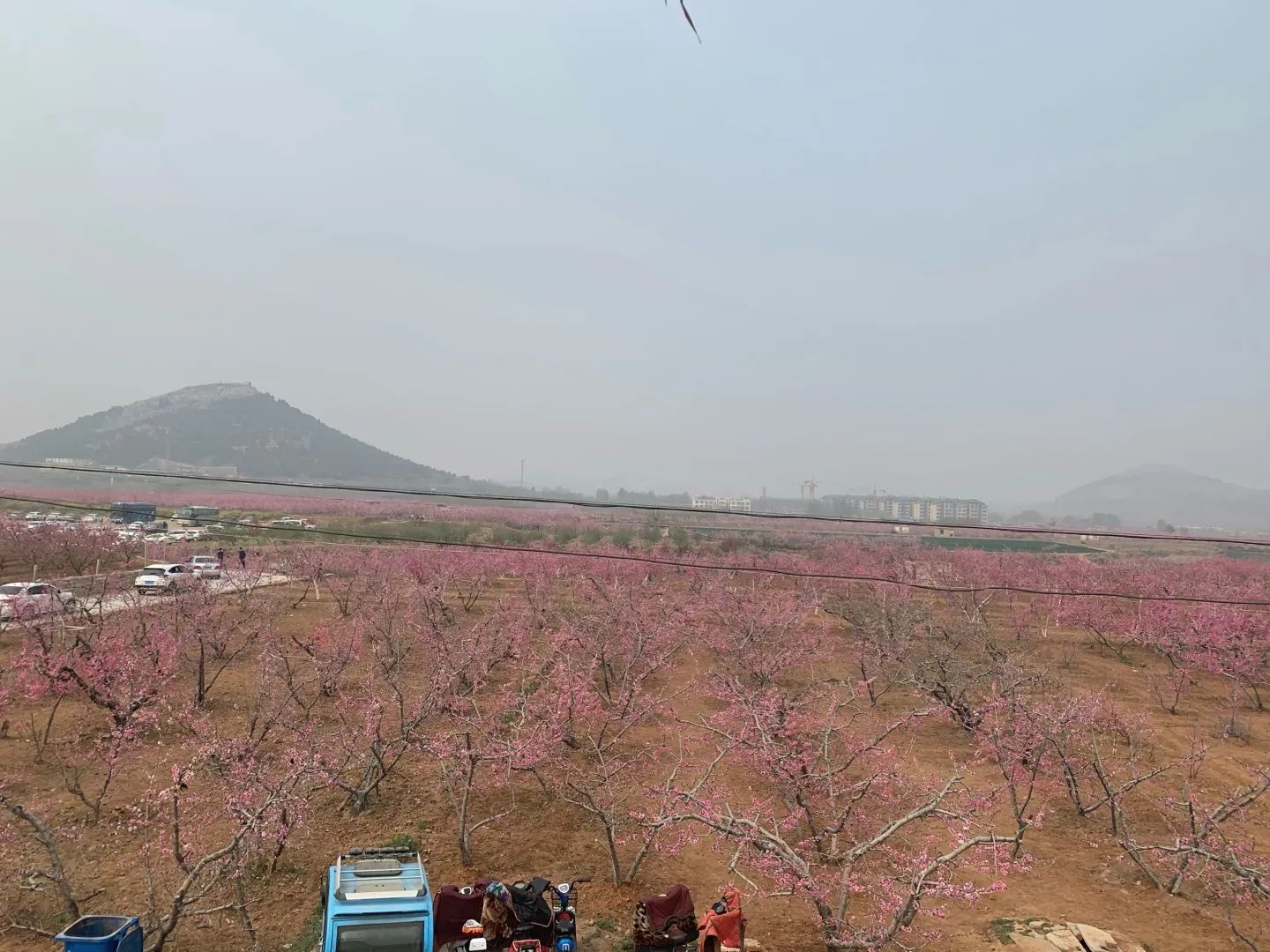 刘台桃花源景区旅行图片