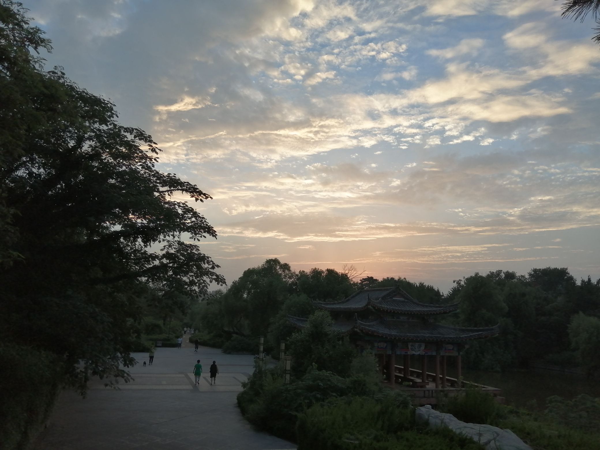 郯子公园
