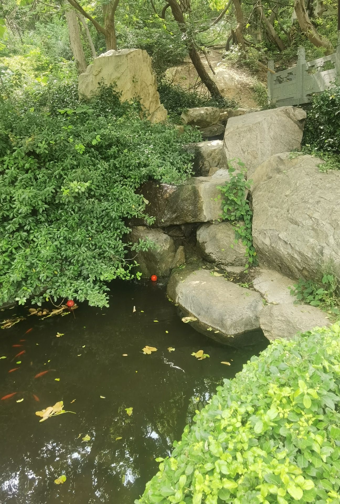 冠山风景旅游区