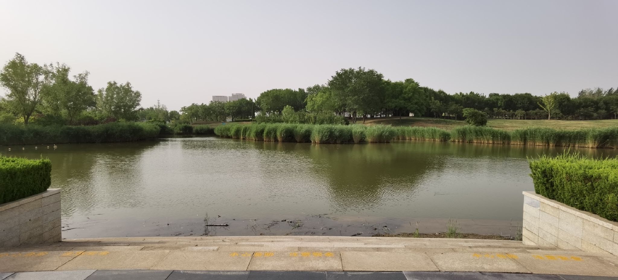 中海公园旅行图片