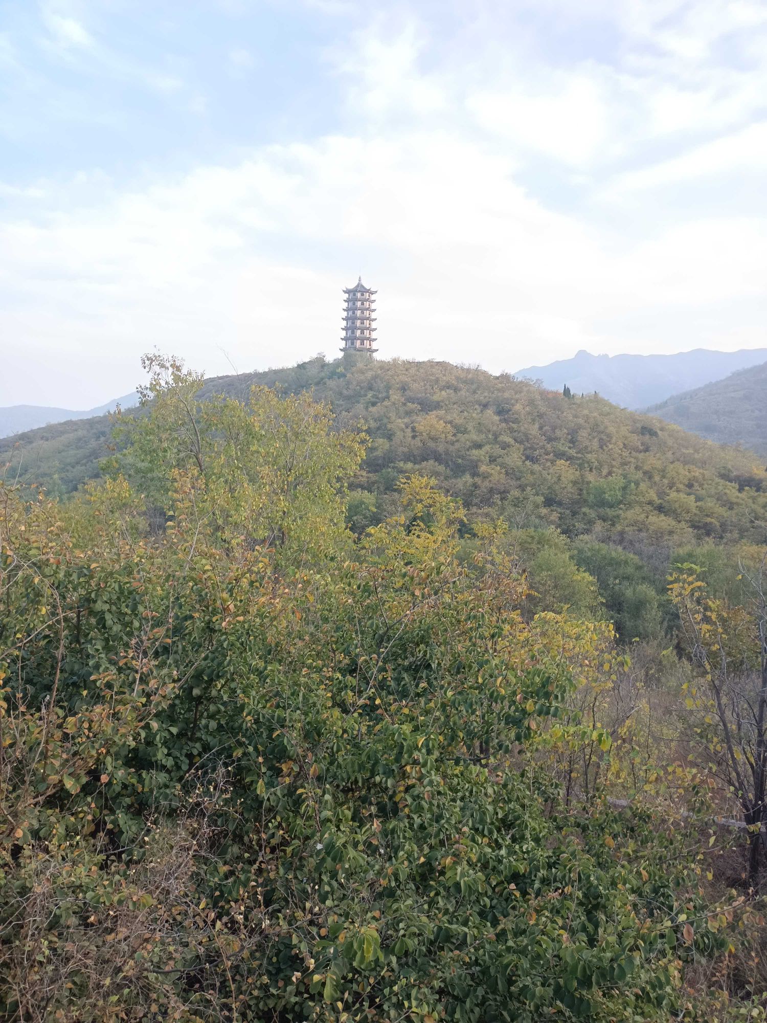 禅林胜景