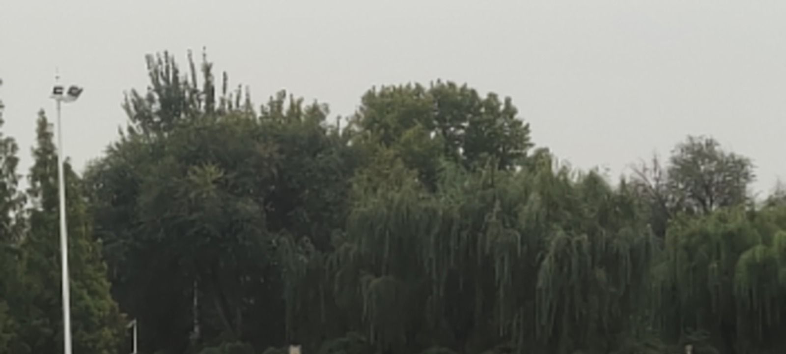 月河公园旅行图片