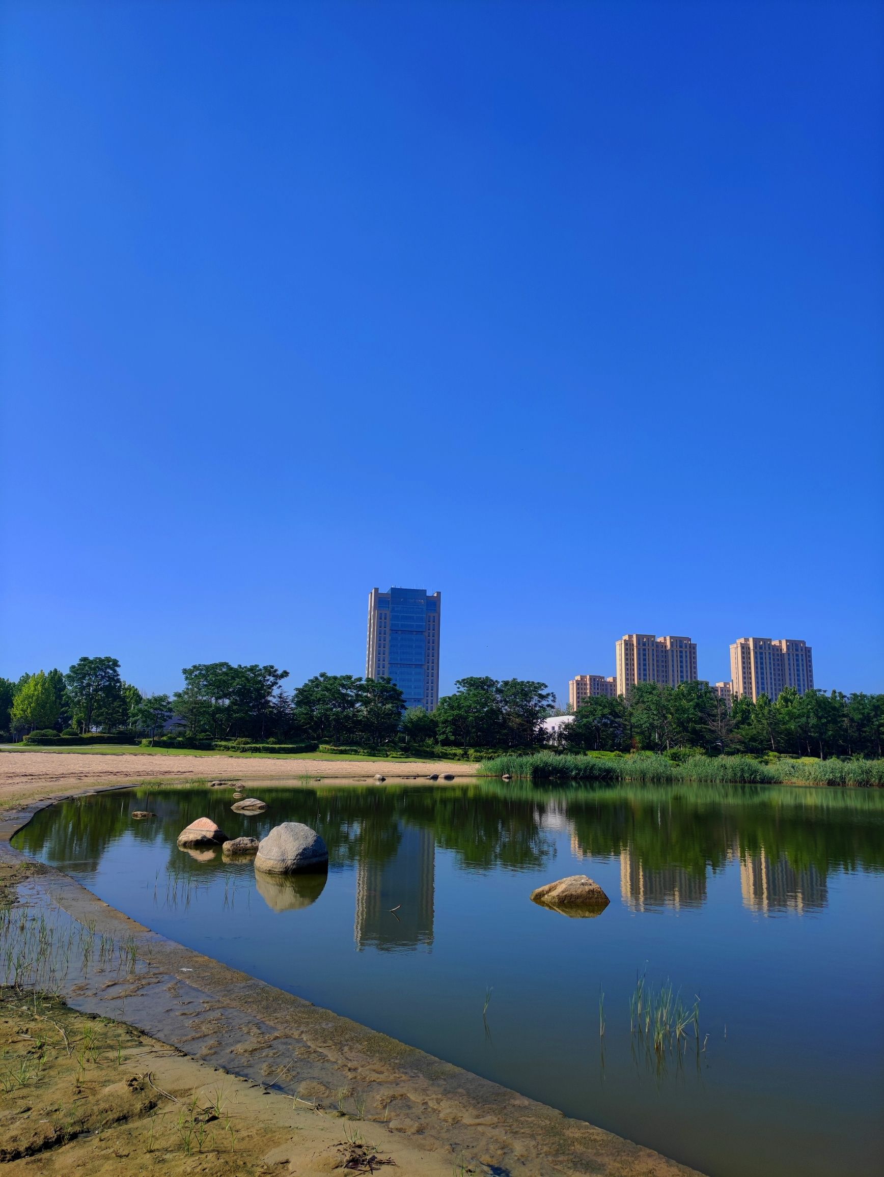 东营市明月湖国家湿地公园