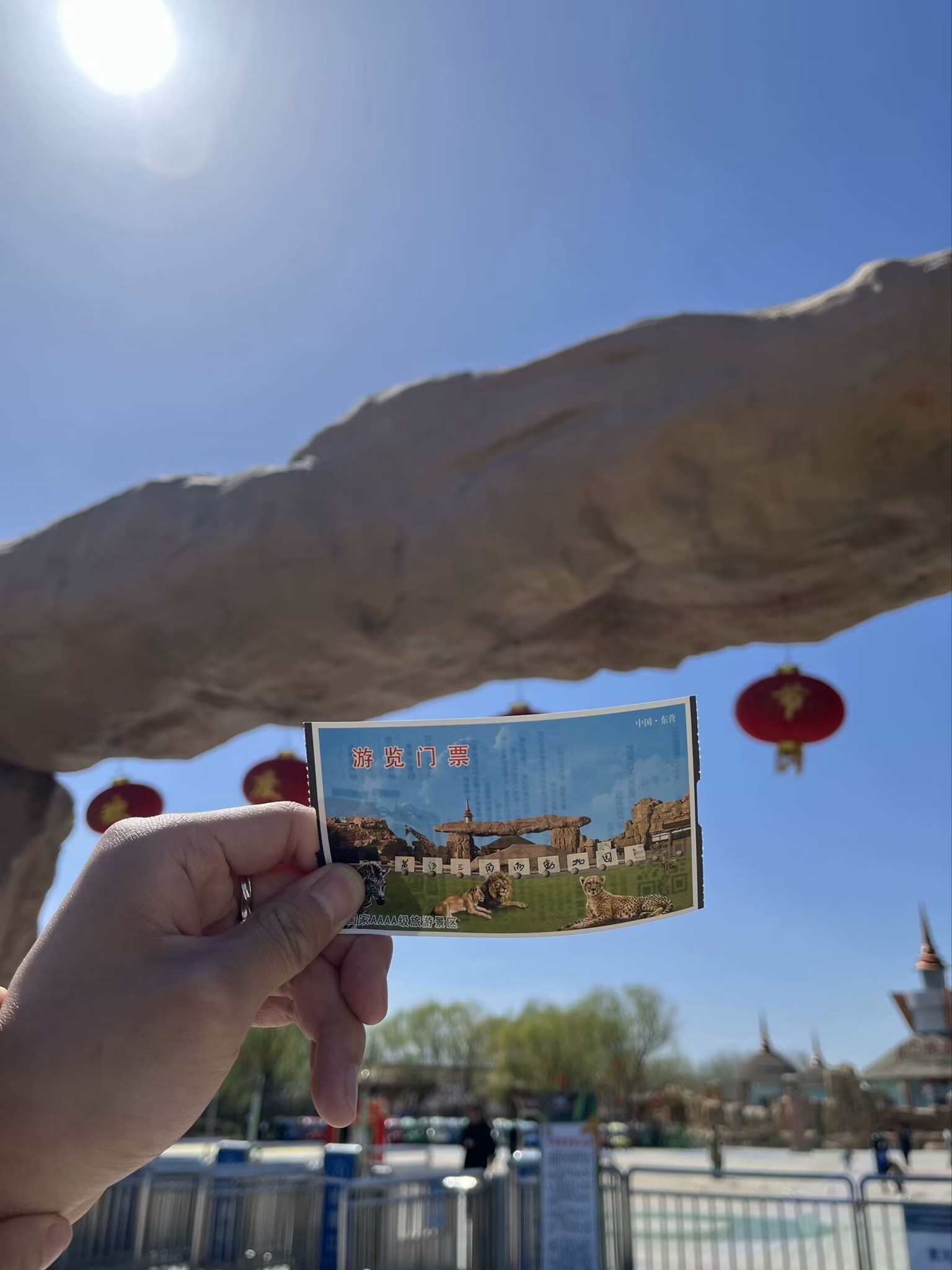 黄河三角洲动物园旅行图片