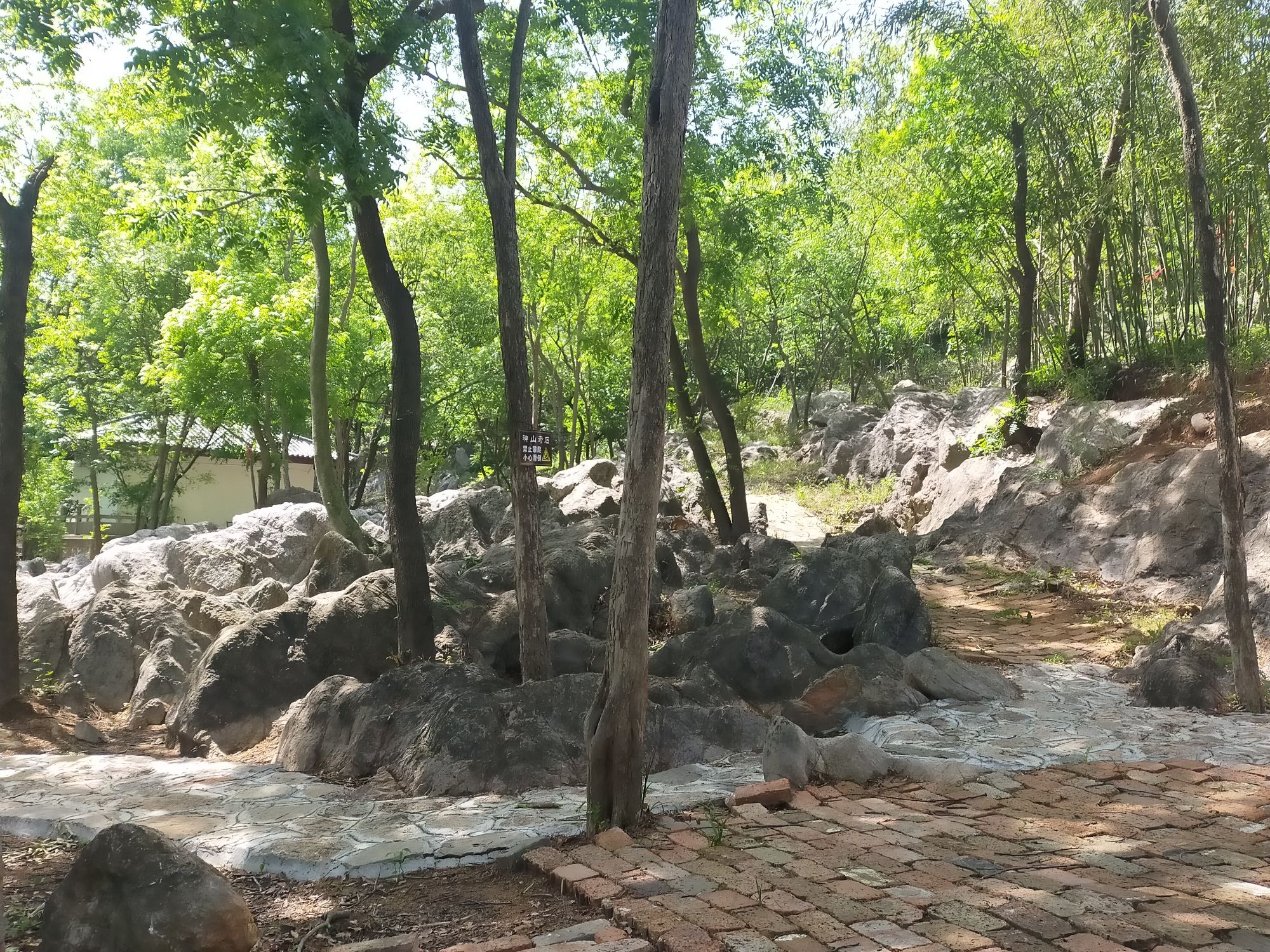 神山国家森林公园旅行图片