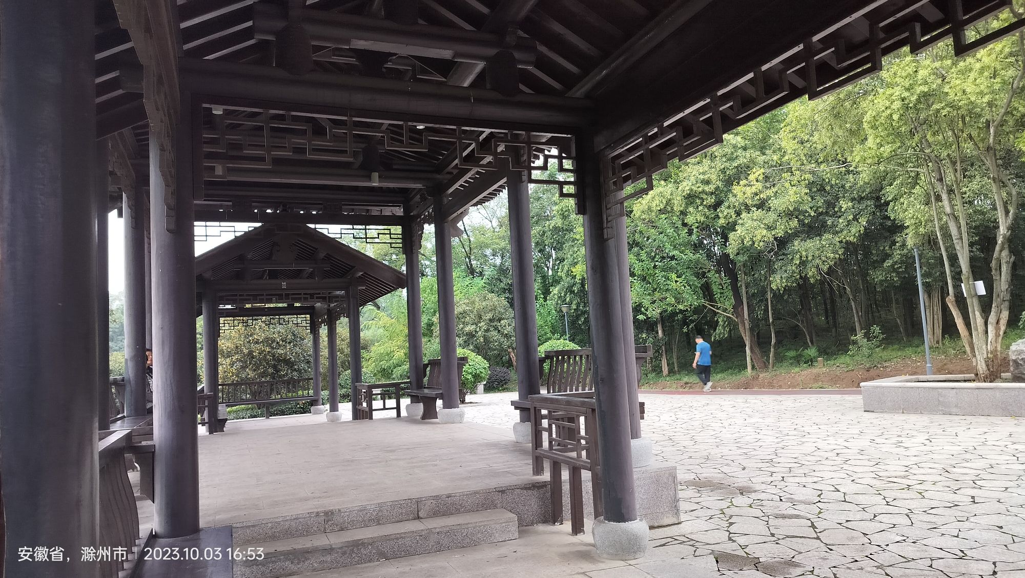 南屏山森林公园