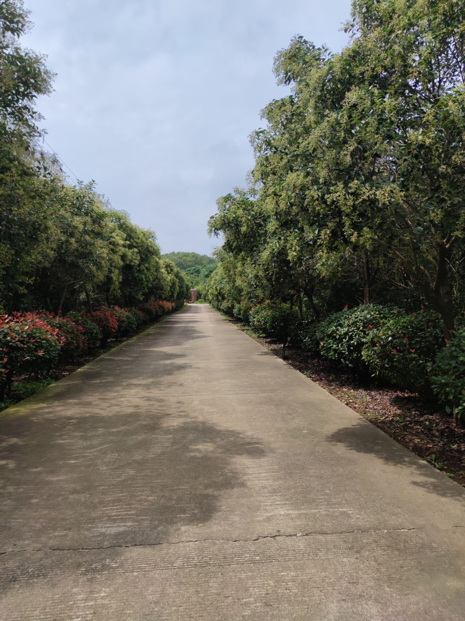 女山地质公园