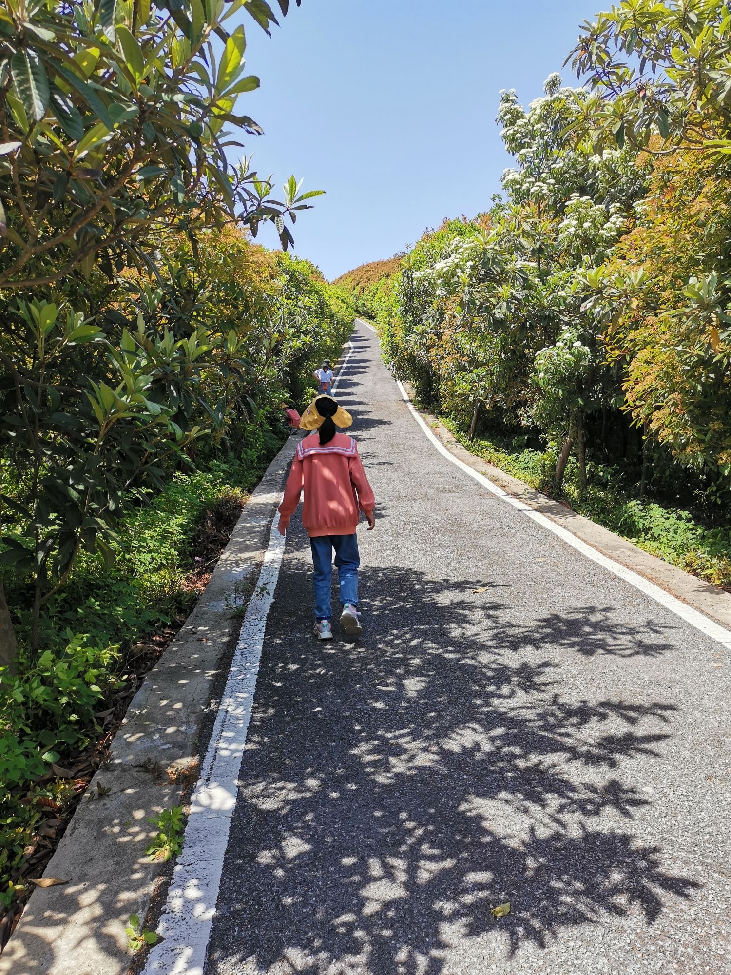 皇甫山国家森林公园