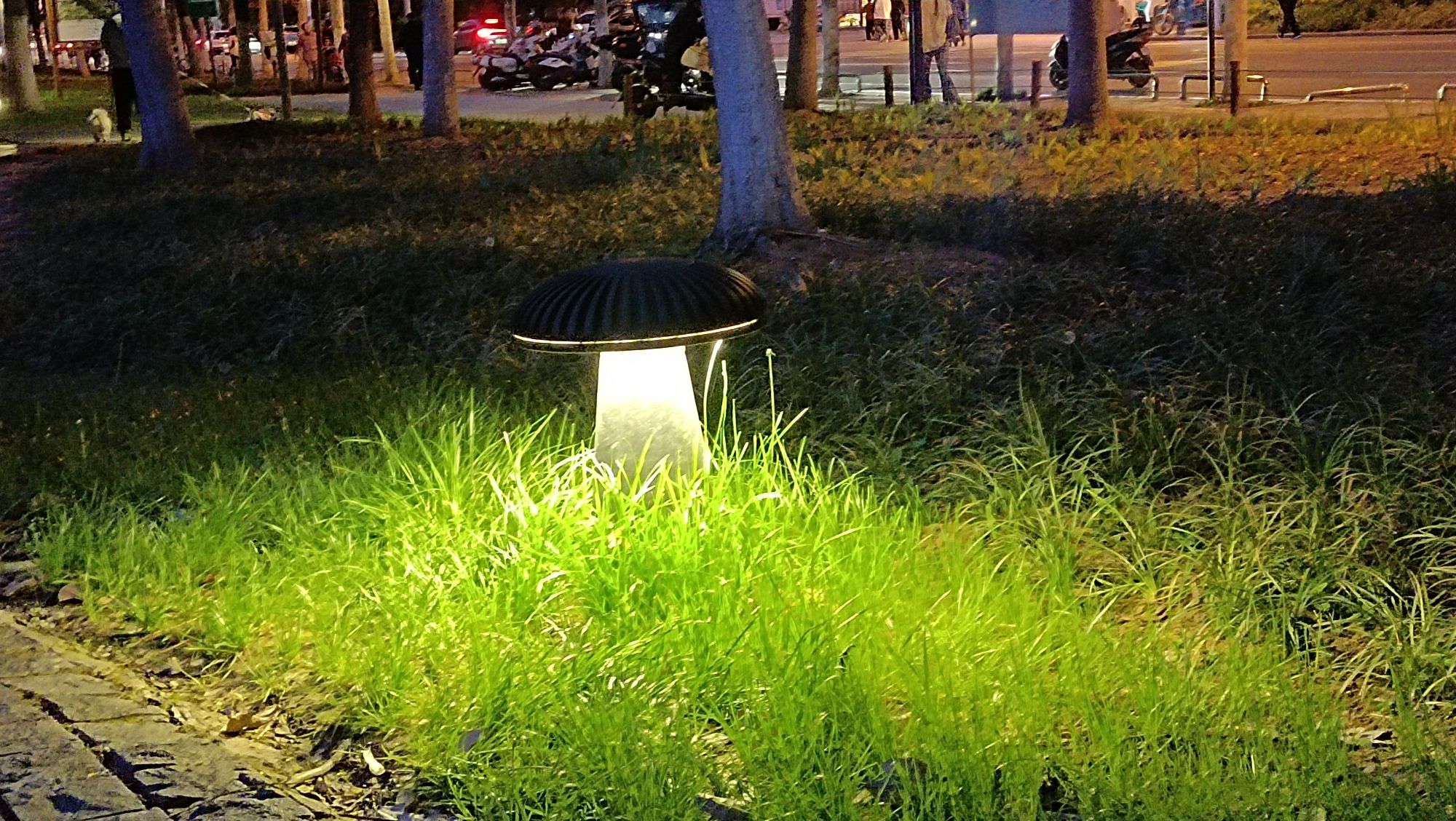 花冲公园