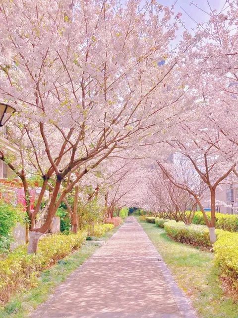 合肥生态公园