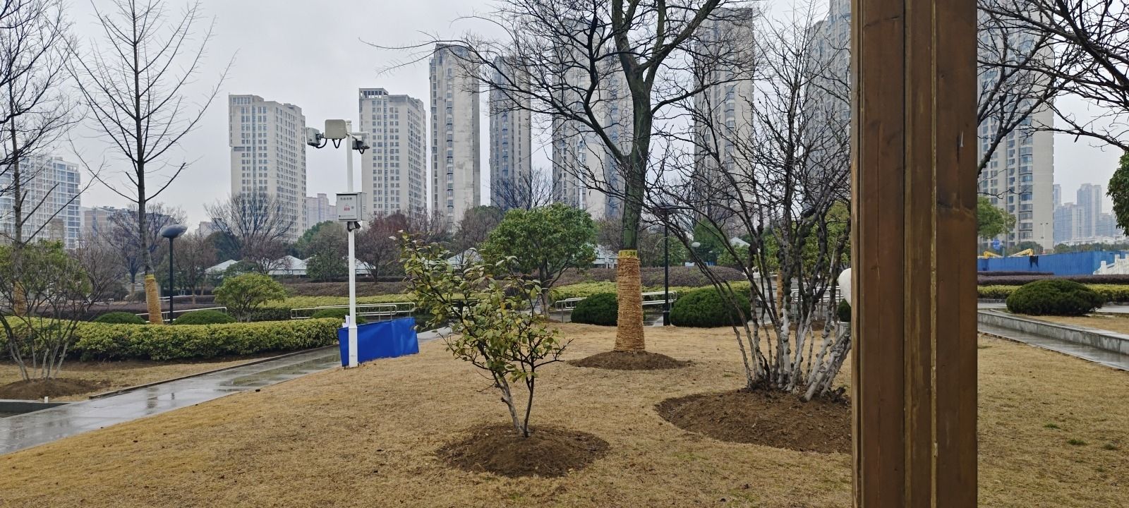 新海公园旅行图片