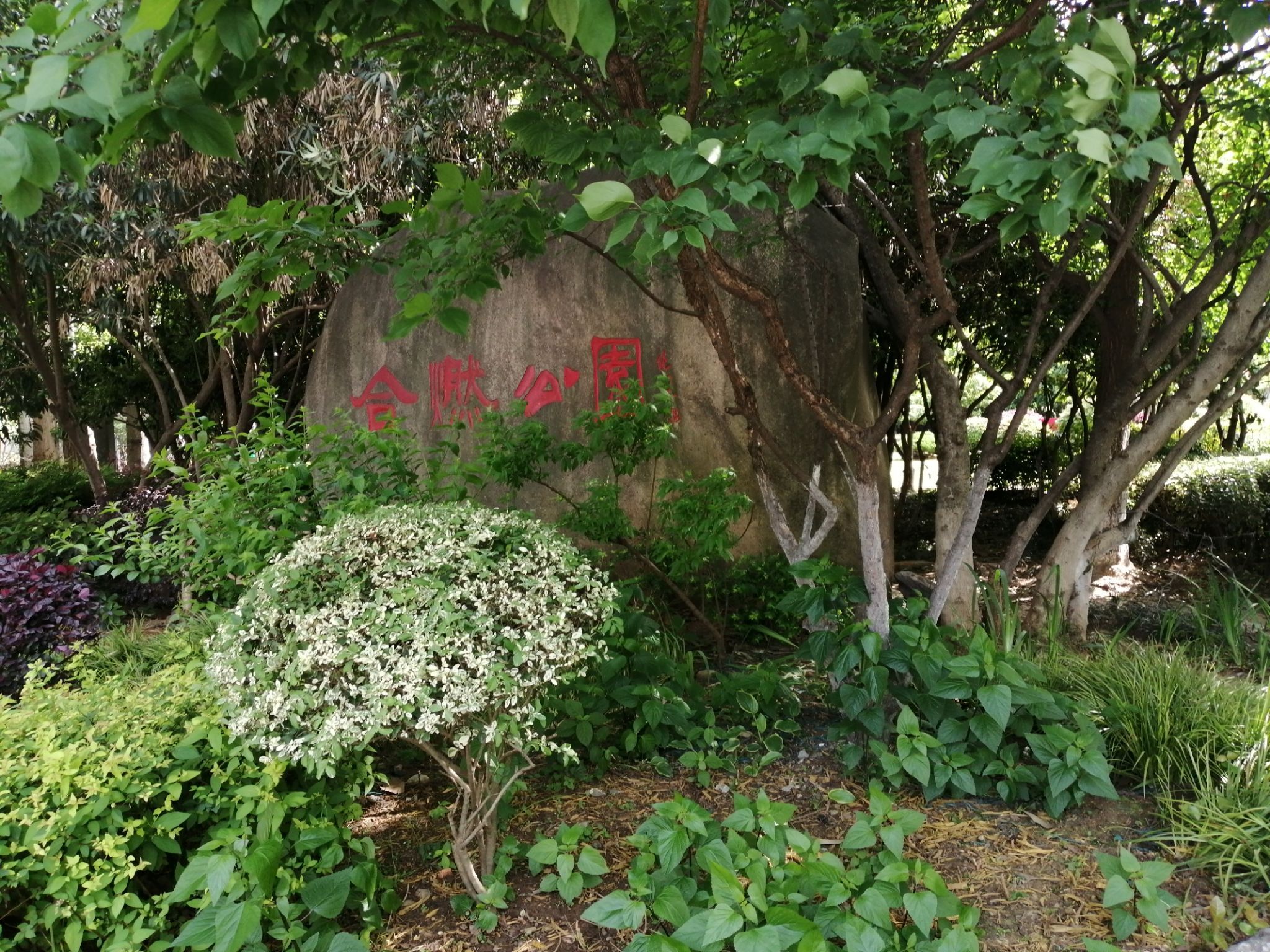 合燃公园旅行图片