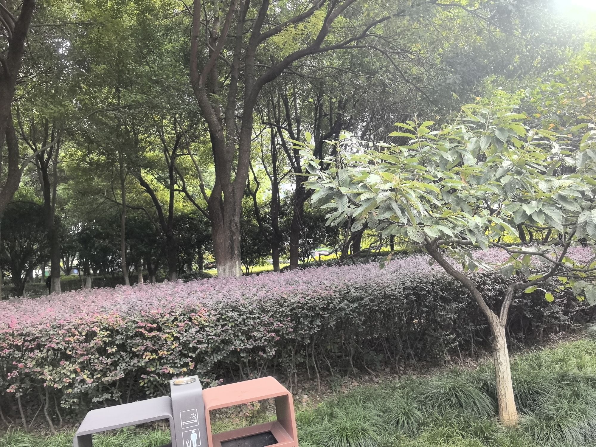 合燃公园旅行图片