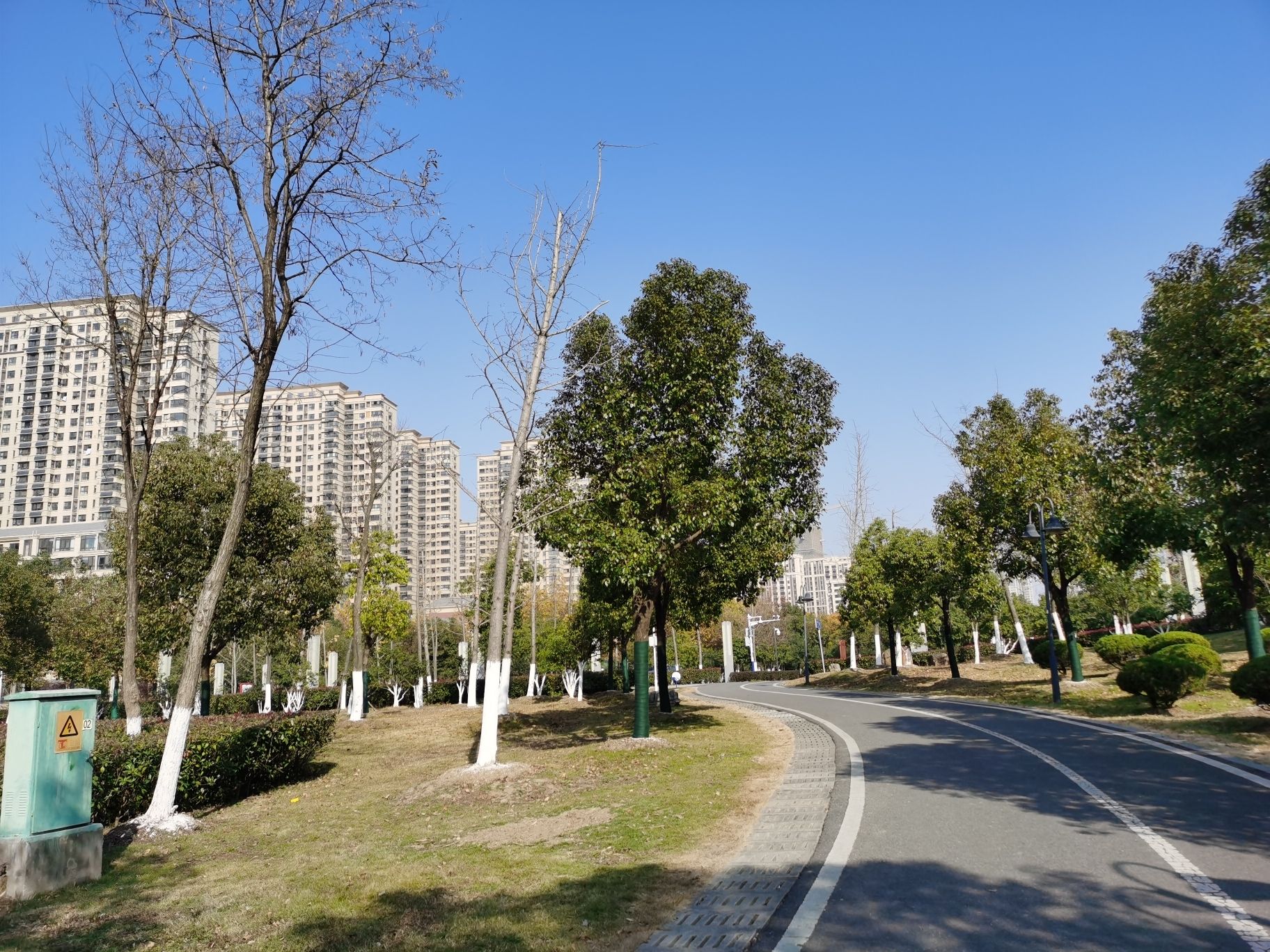陶冲湖公园旅行图片