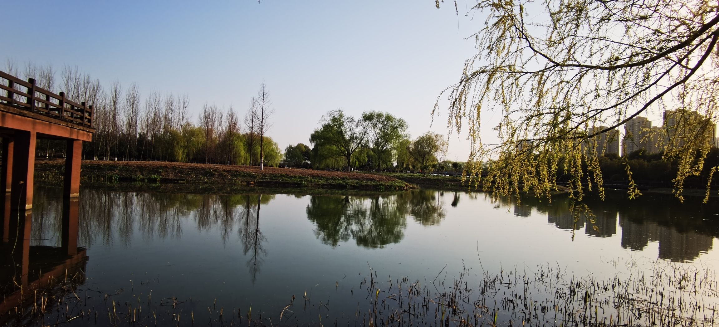 陶冲湖公园旅行图片