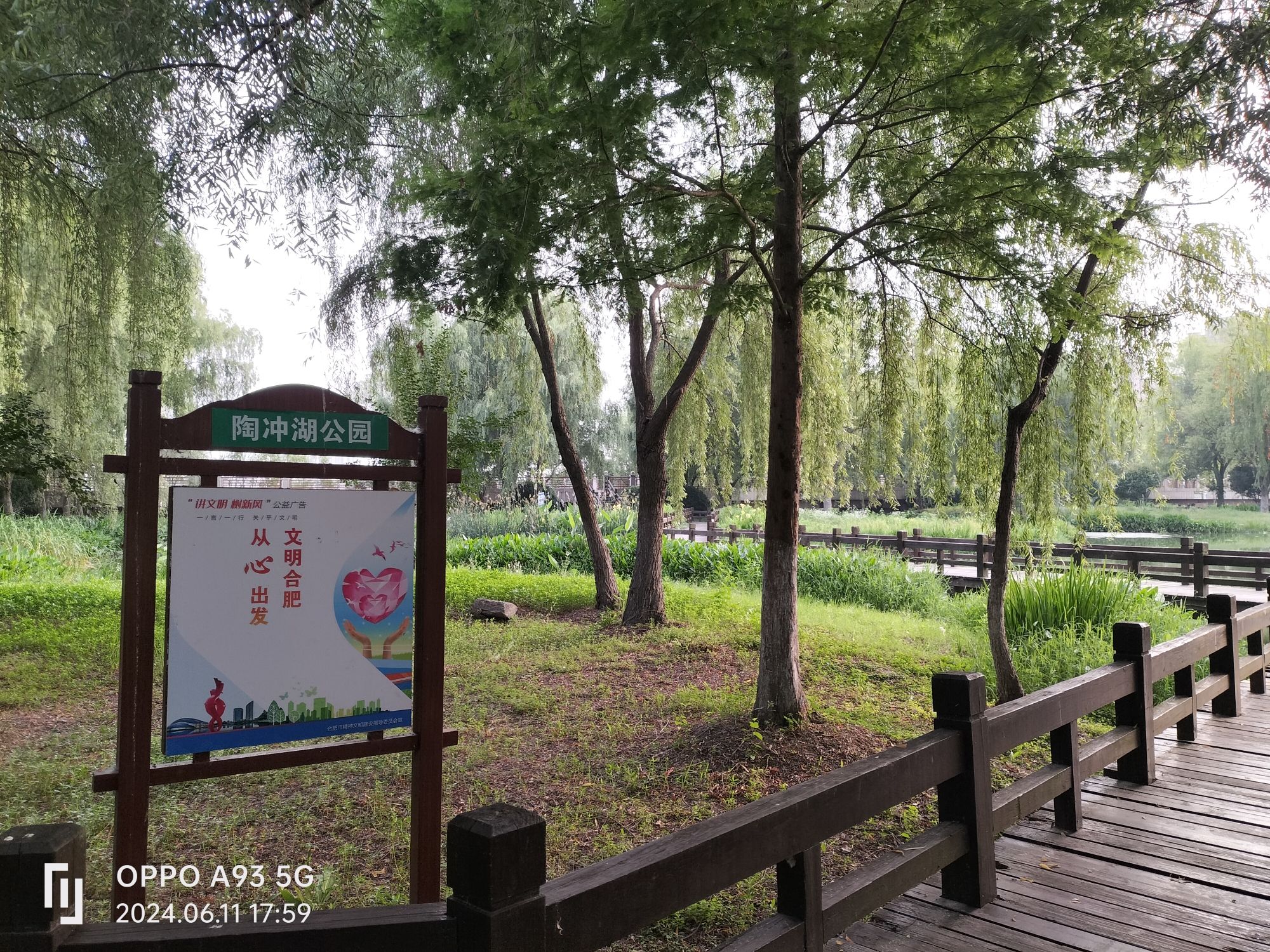 陶冲湖公园旅行图片