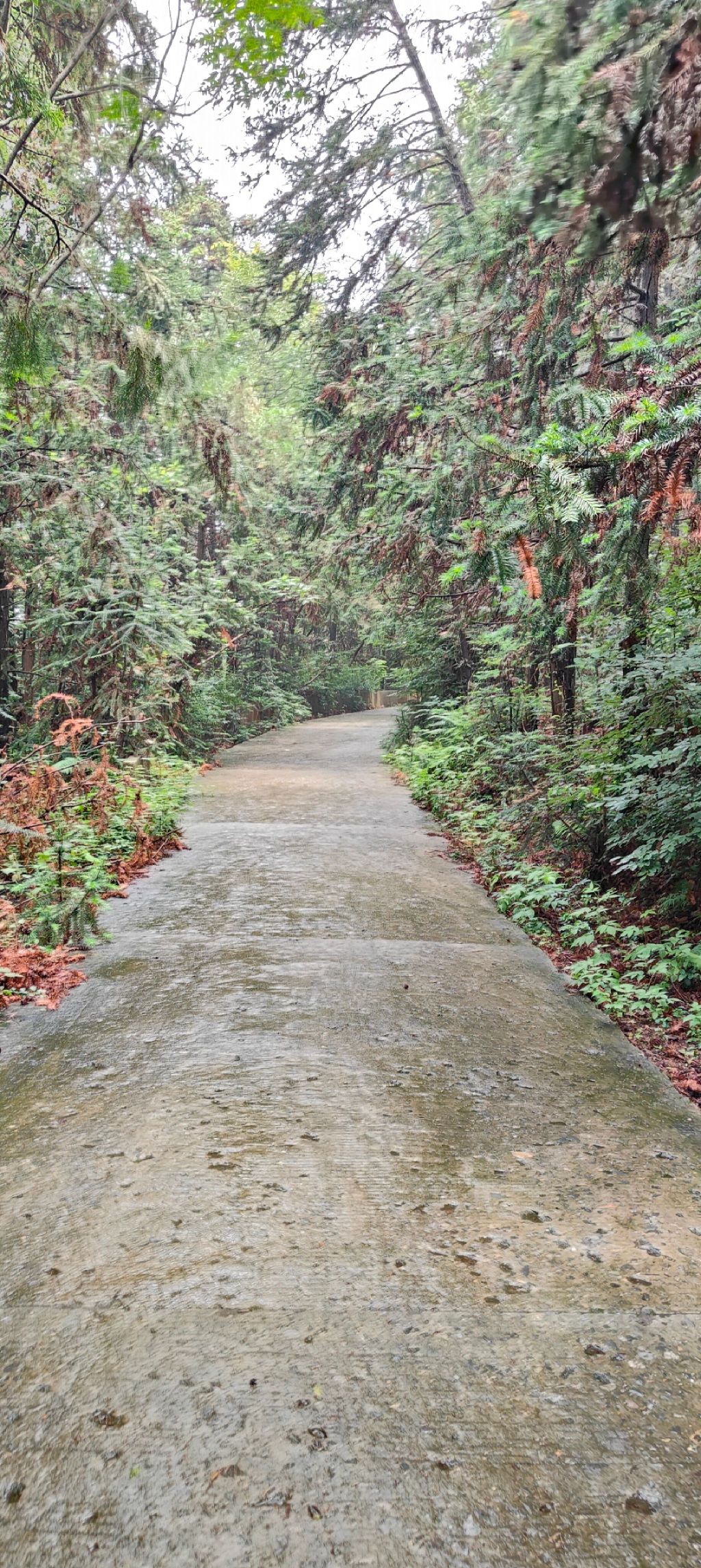 鼓山公园旅行图片