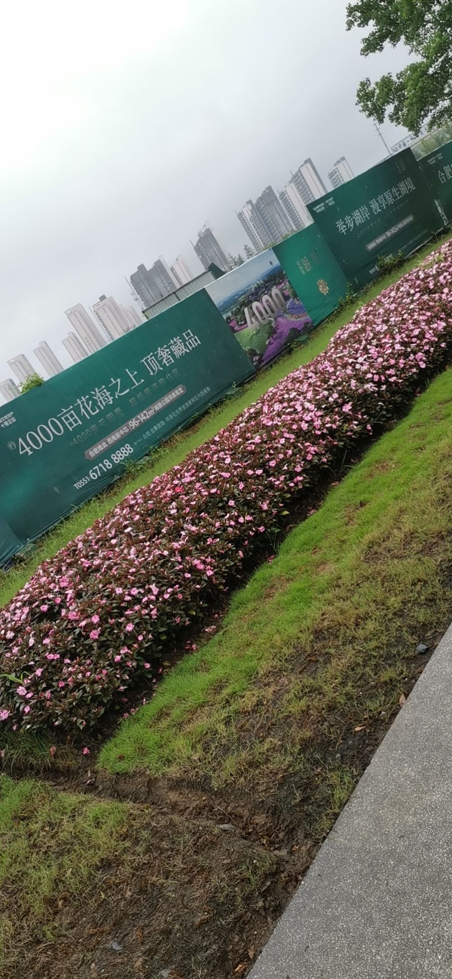 大巩山森林公园旅行图片