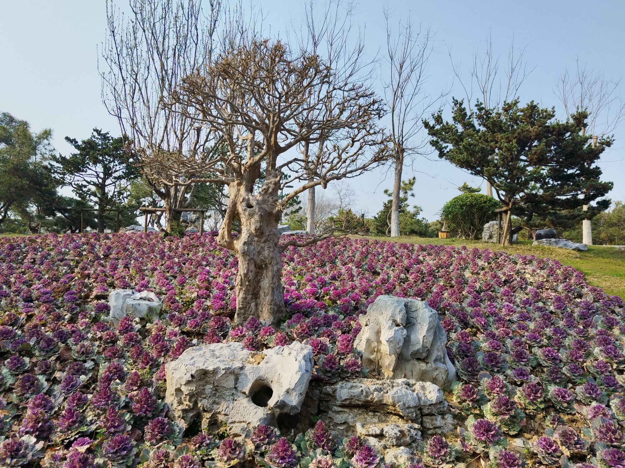 神山公园
