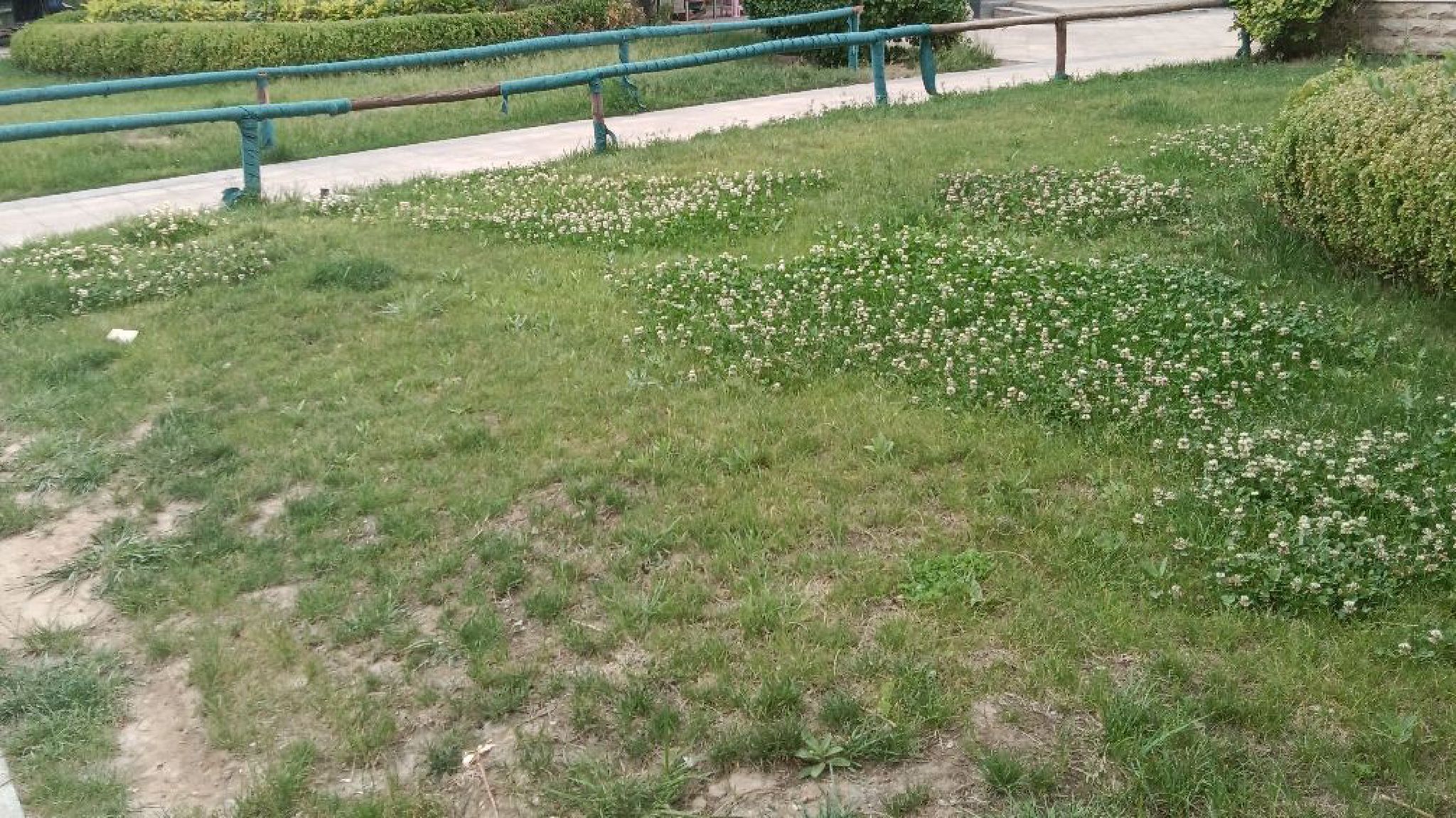 安徽省芜湖市马仁森林公园