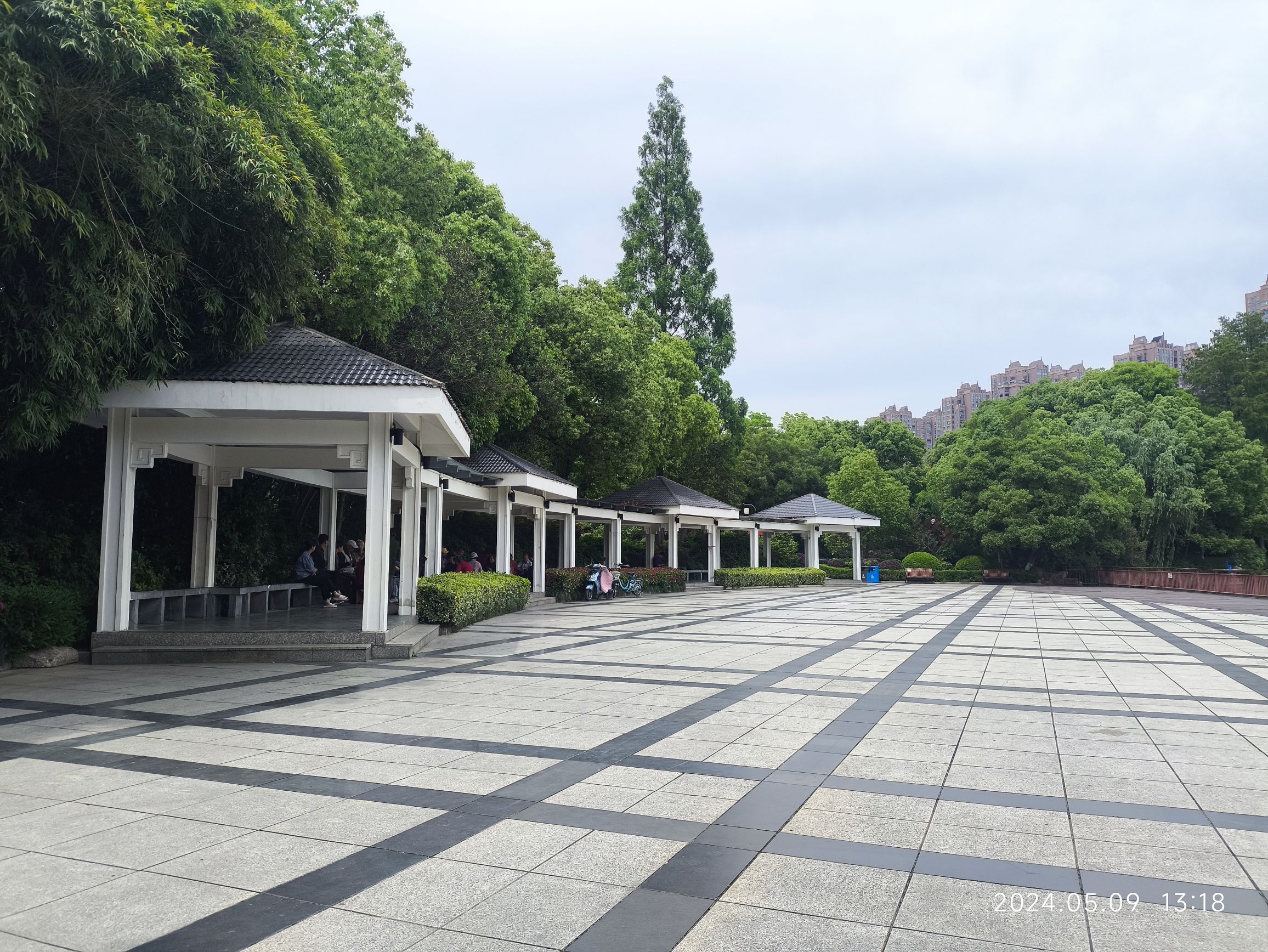 九莲塘公园旅行图片