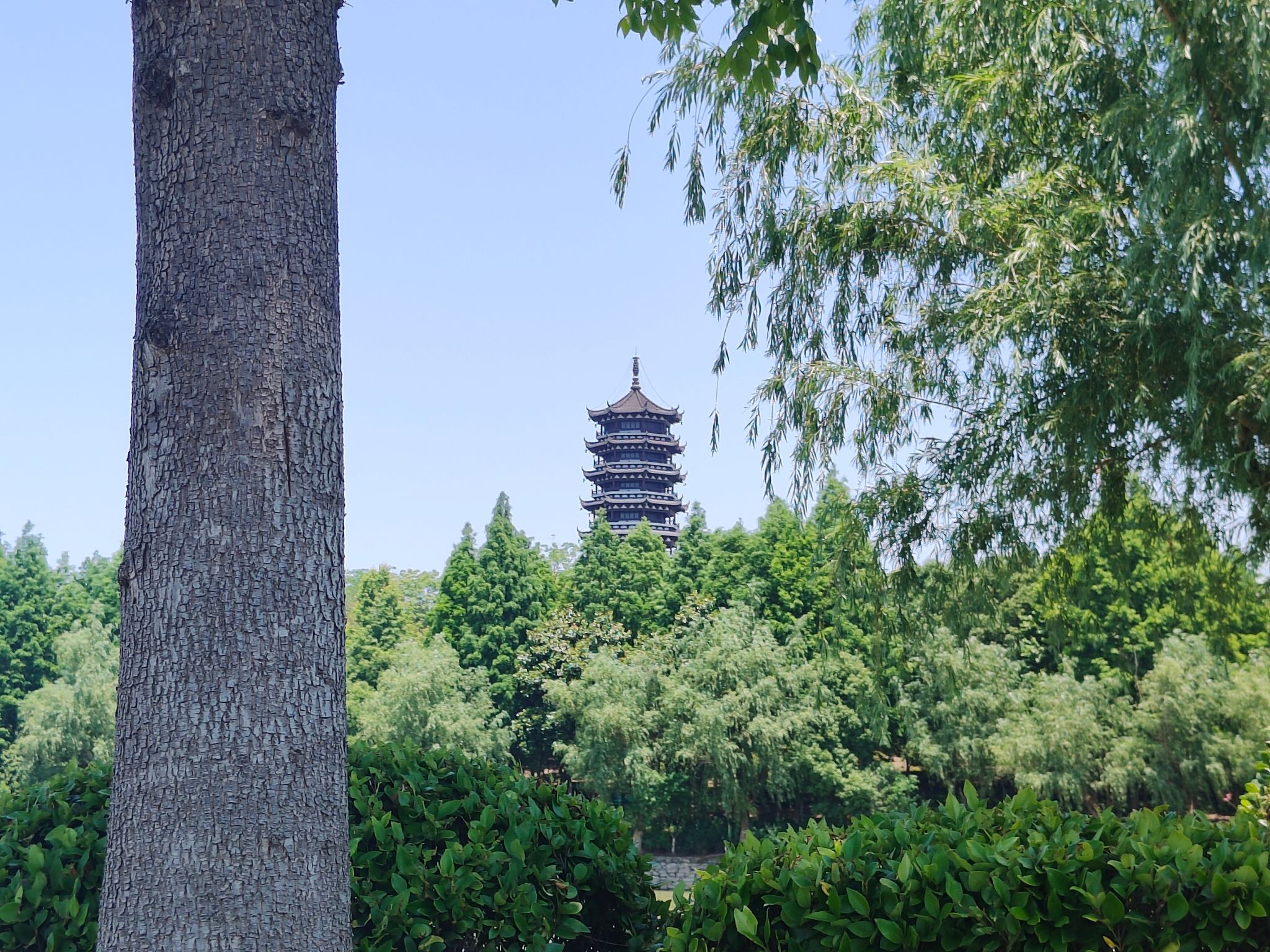 东湖公园