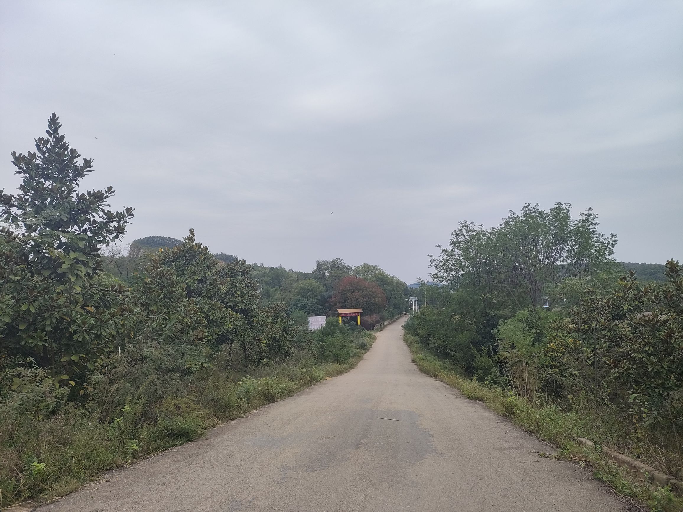 卧龙山公园旅行图片