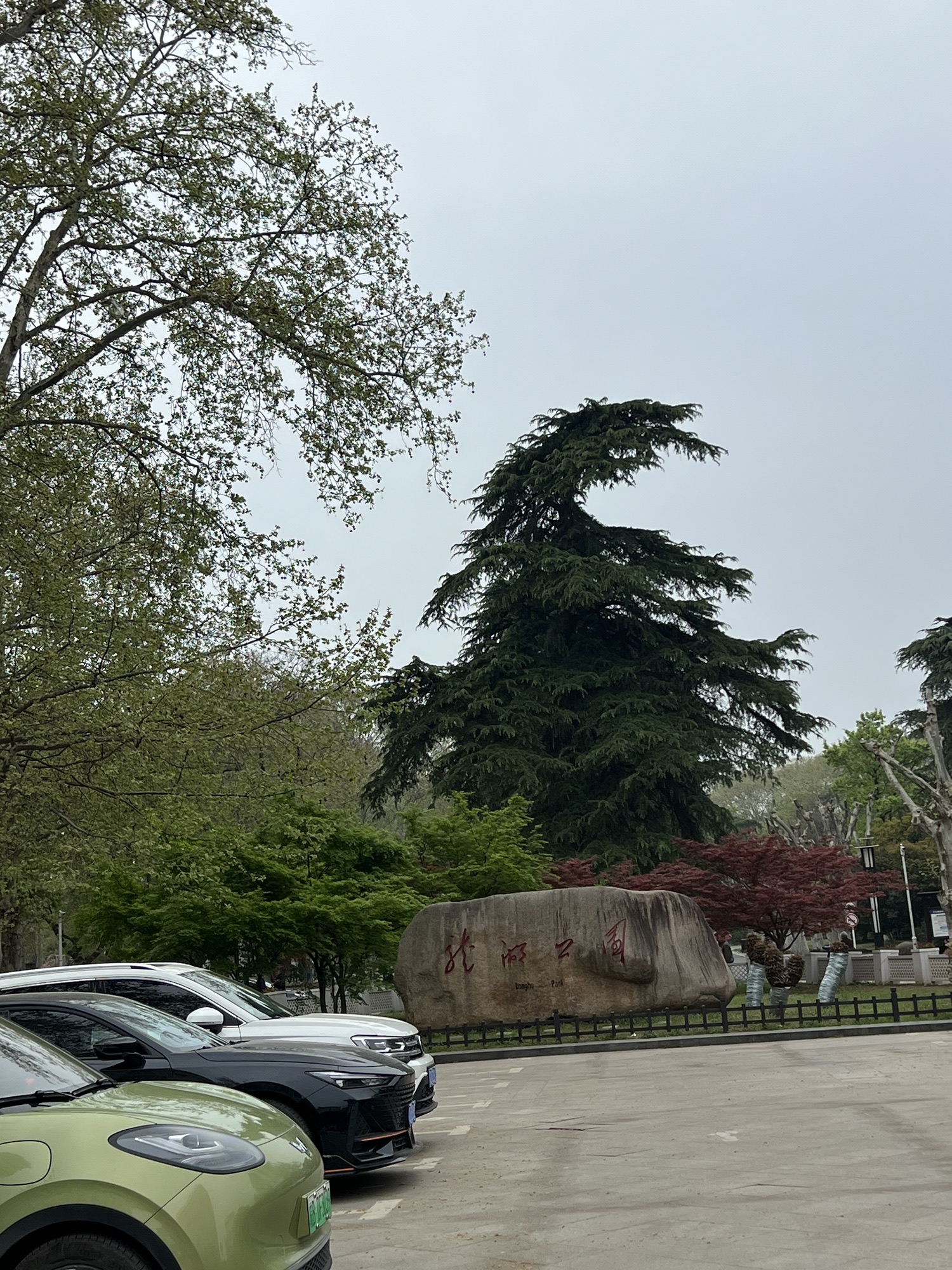 龙湖公园旅行图片
