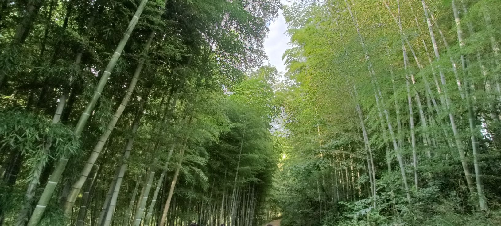 濮塘怪坡