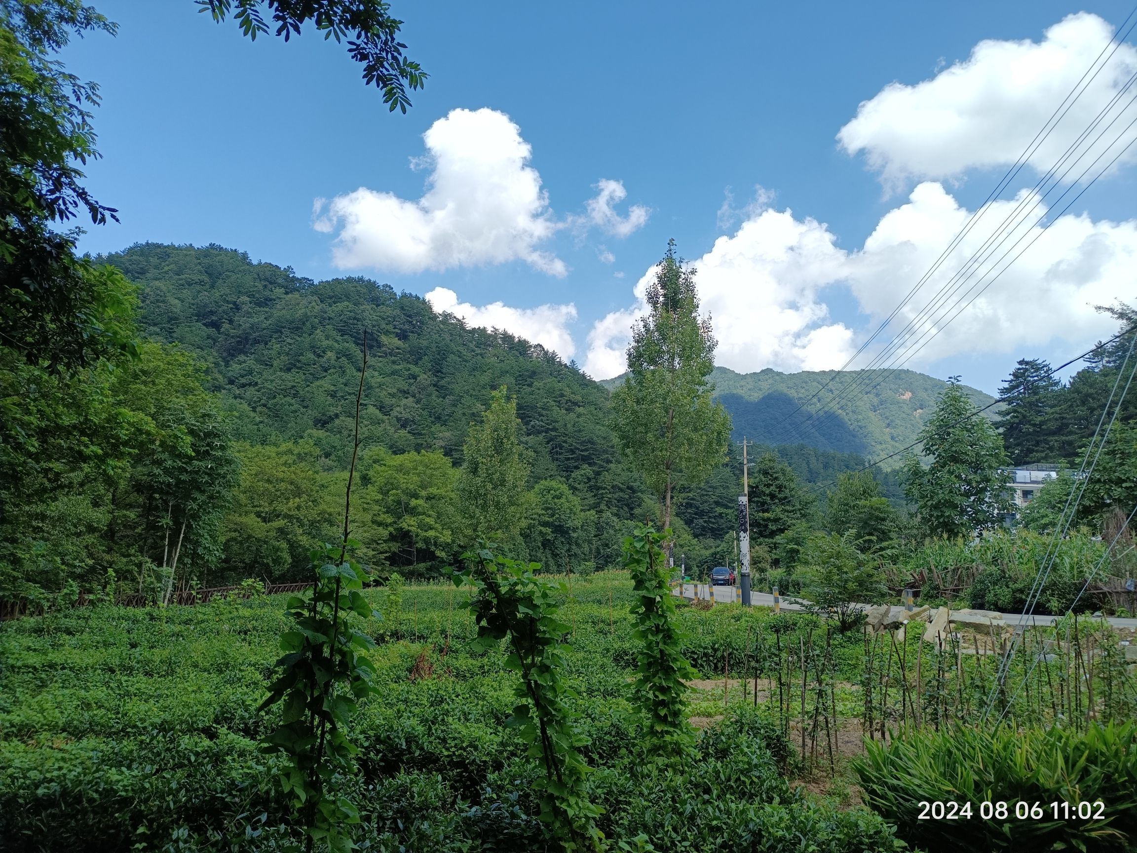 鹞落坪自然保护区