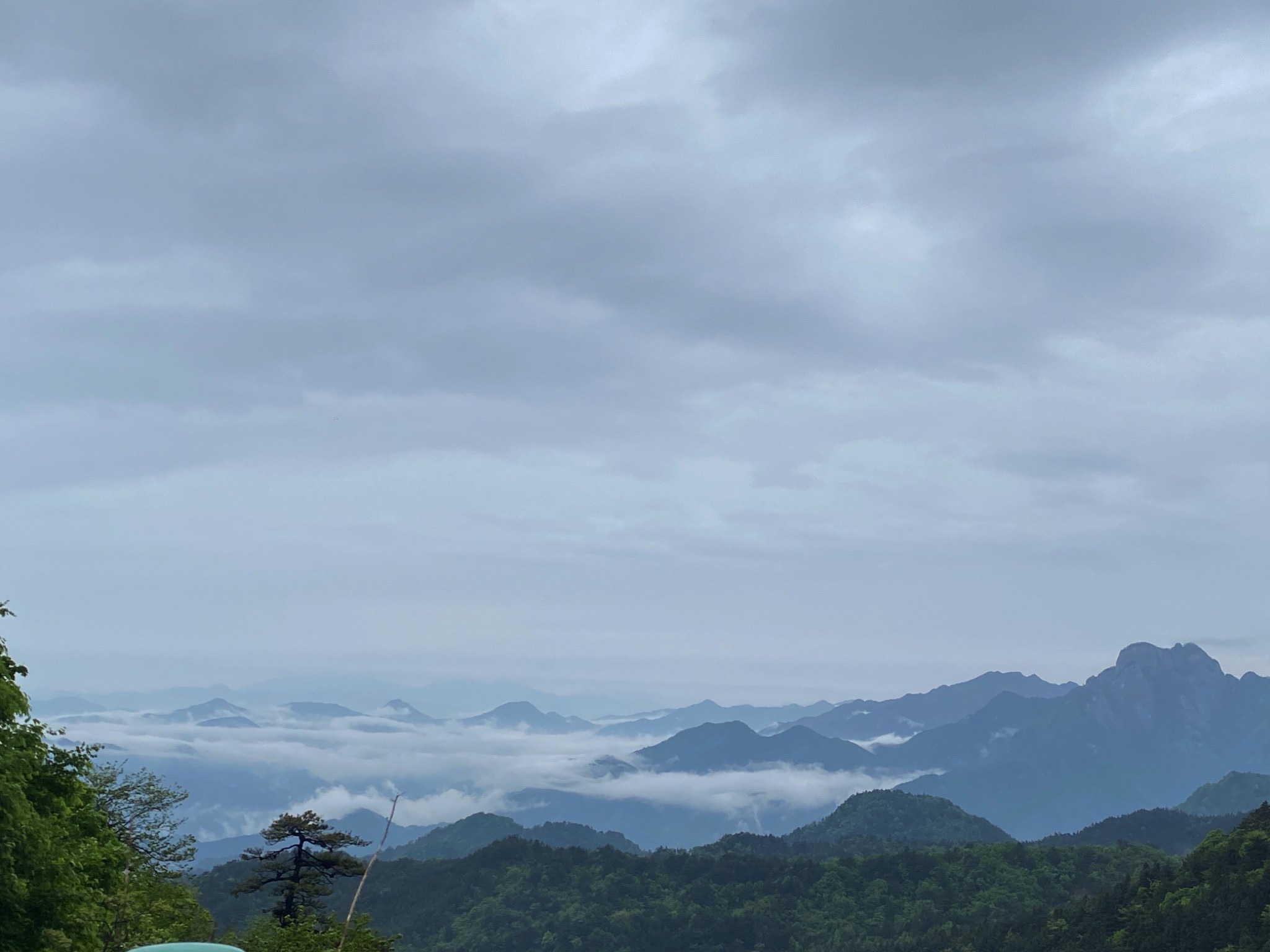 妙道山国家森林公园