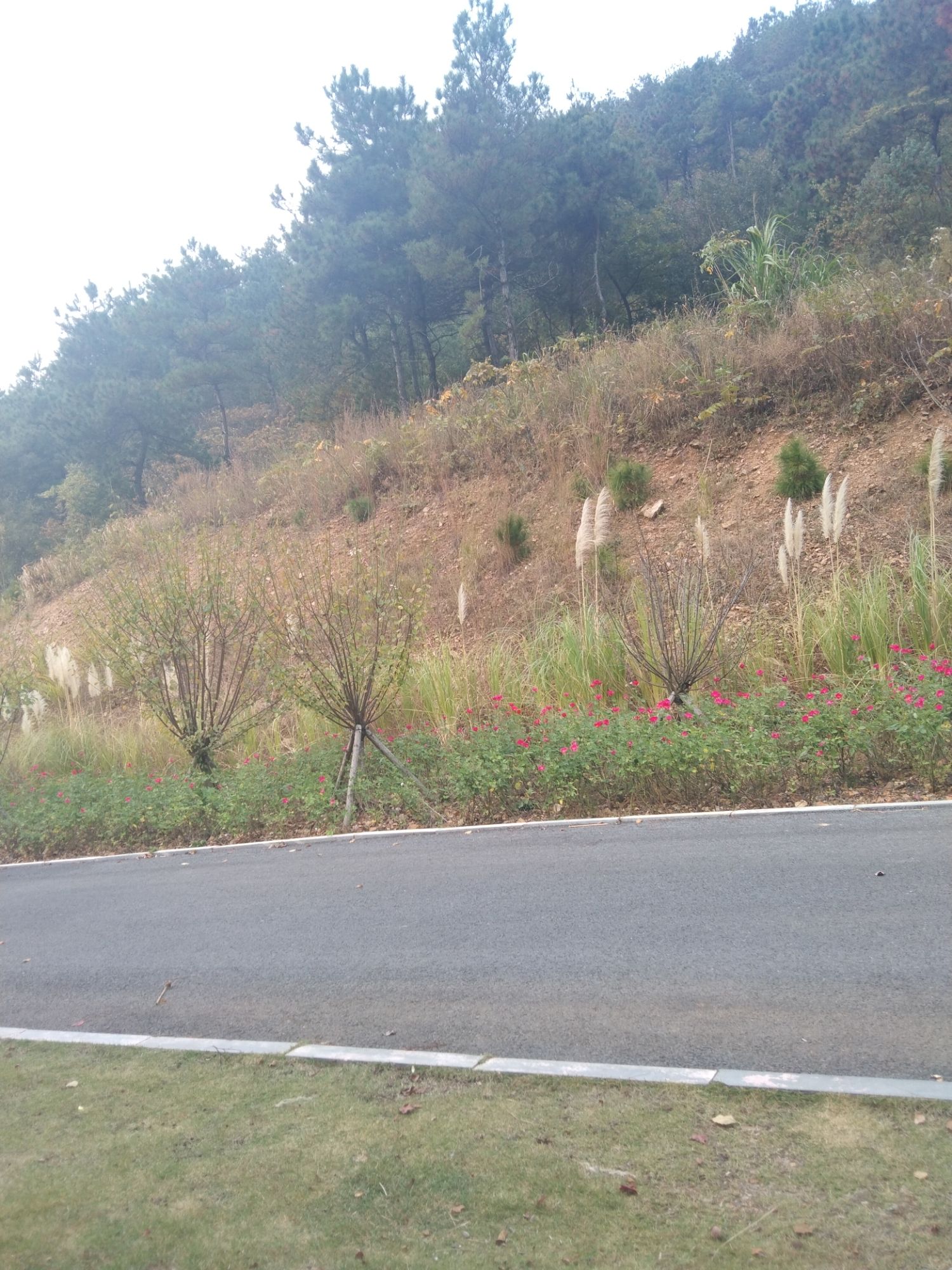 独秀山观音洞风景区旅行图片