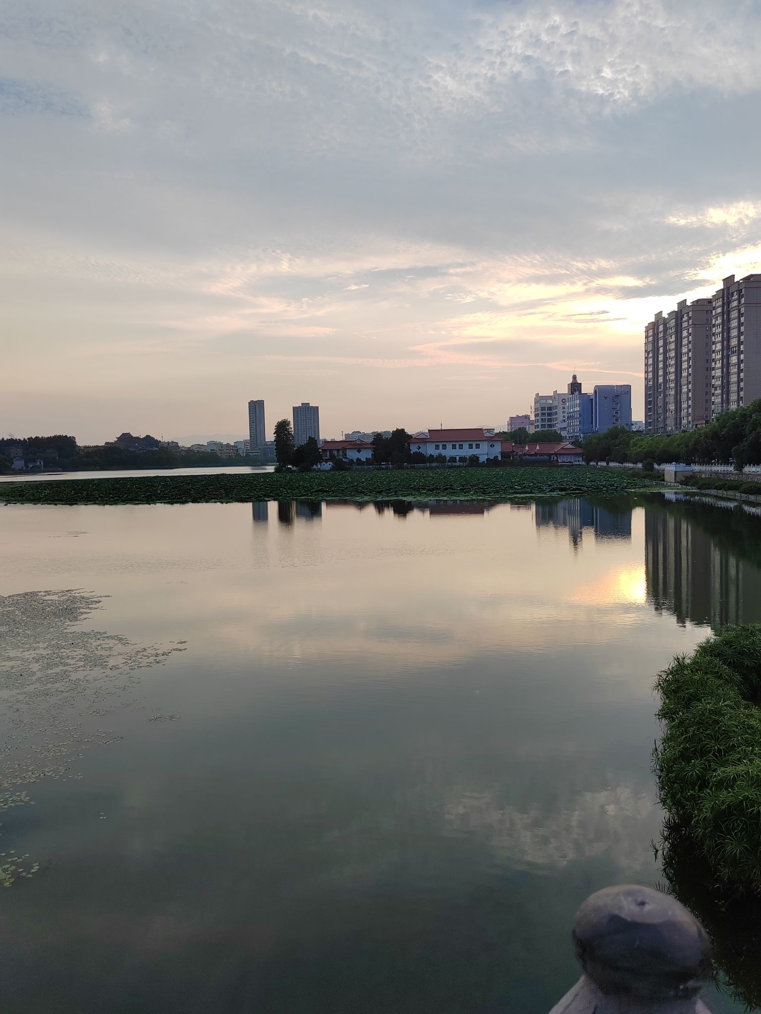 莲花湖公园旅行图片