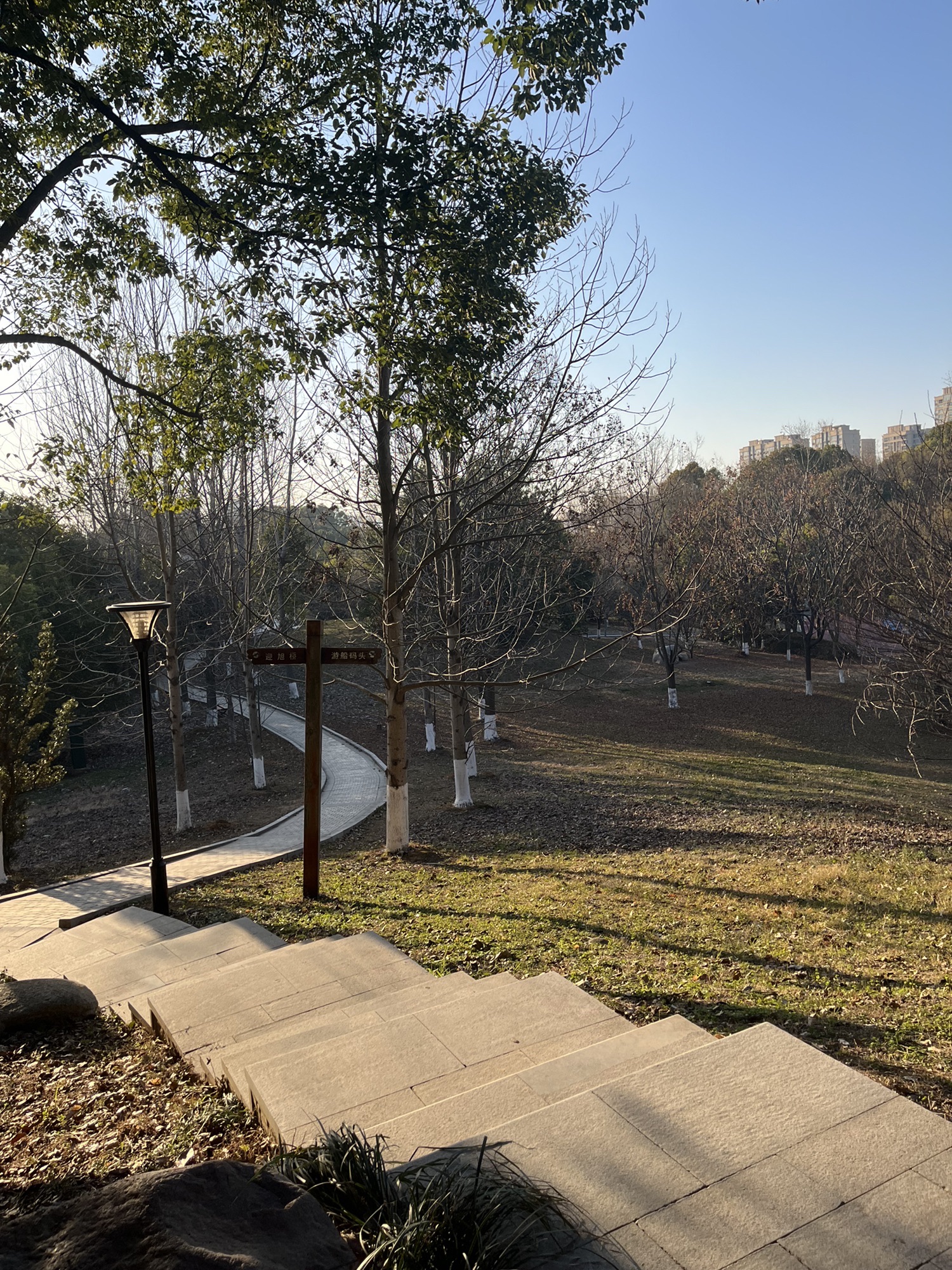 莲花湖公园旅行图片