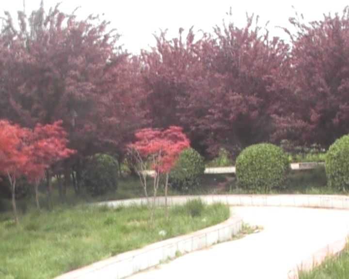 龙霄公园