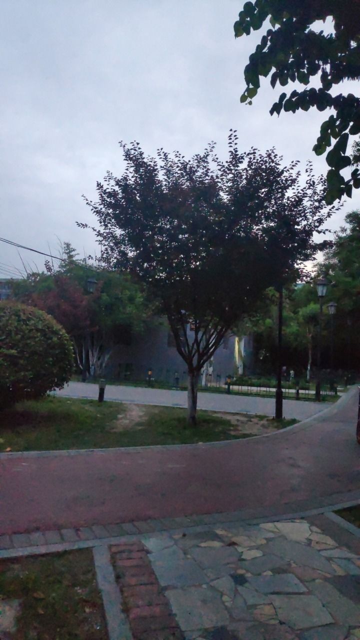 花戏楼-临涡憩园旅行图片