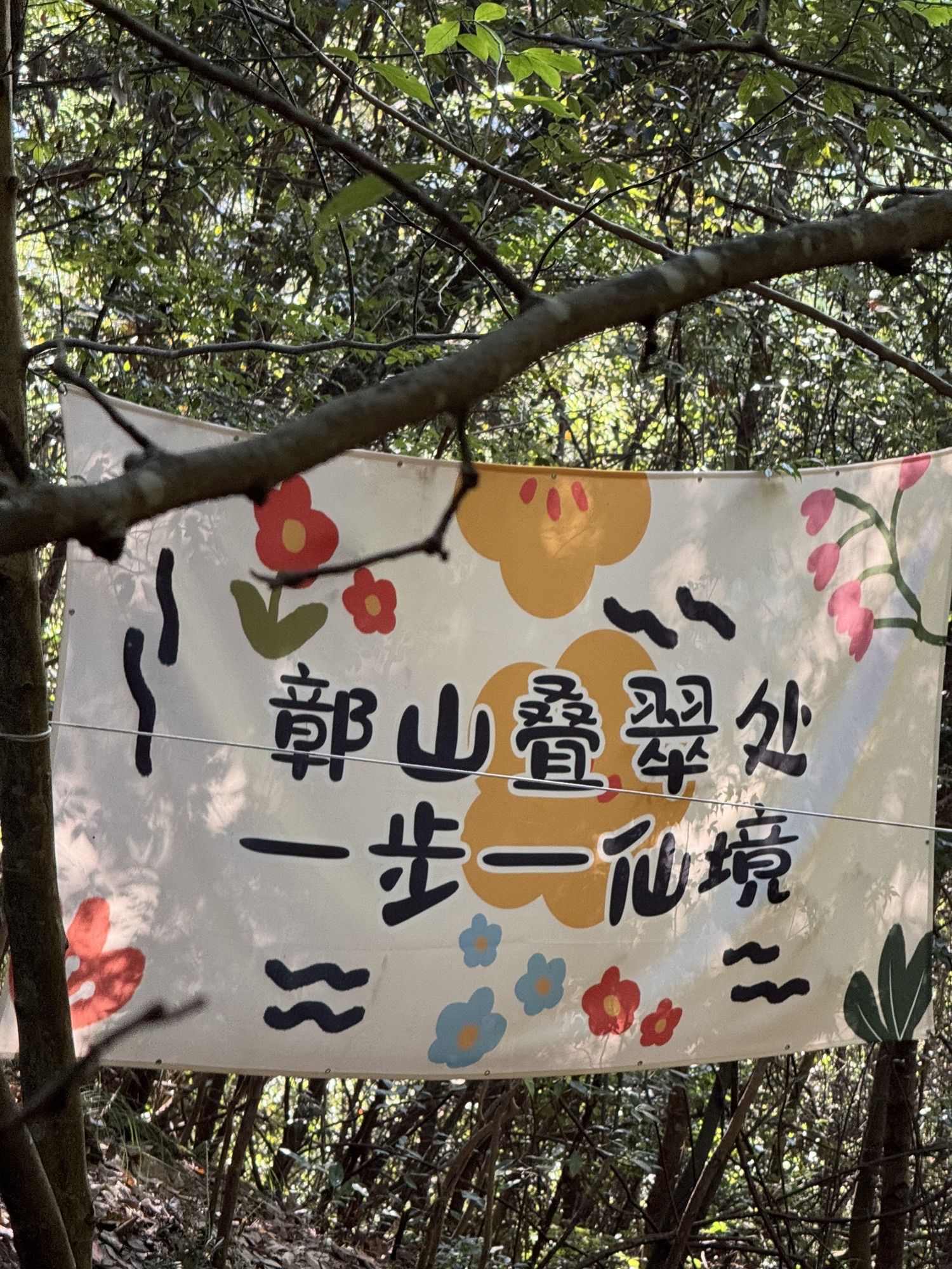 鄣山大峡谷风景区