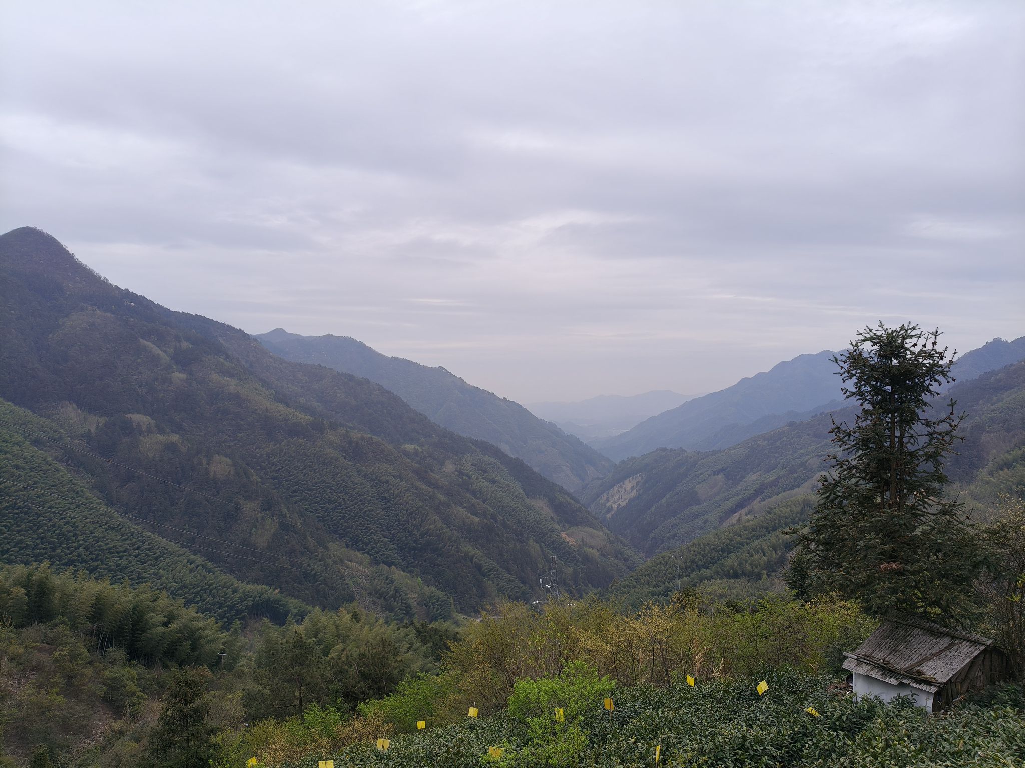 许村旅行图片