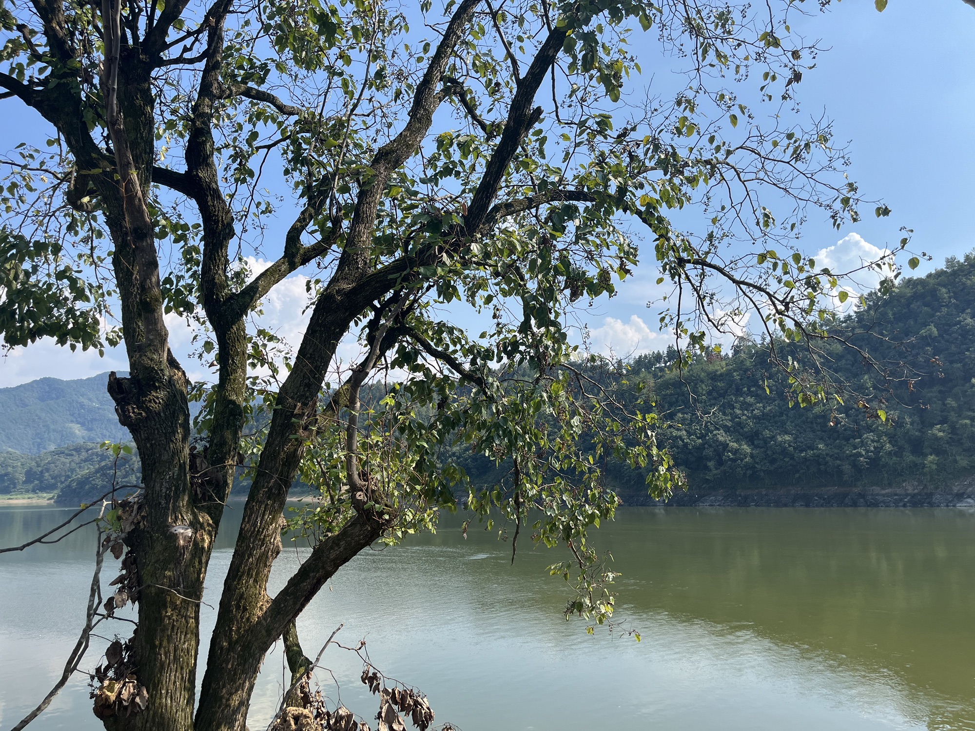 新安江山水画廊风景区旅行图片