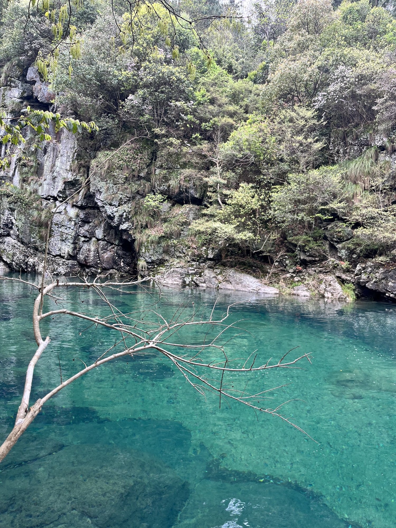 牯牛降国家级自然保护区(不对外开放)旅行图片