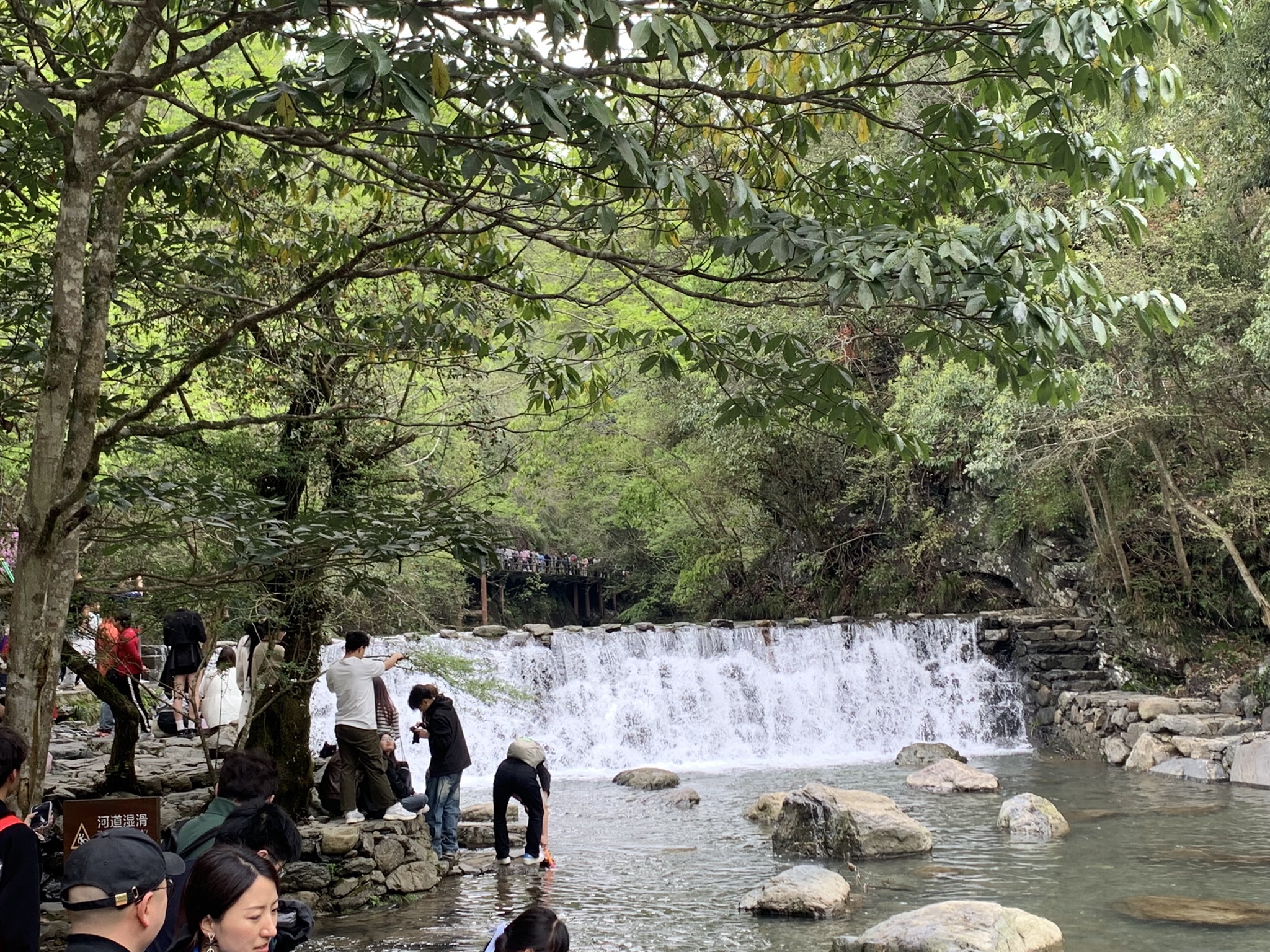 牯牛降国家级自然保护区(不对外开放)旅行图片