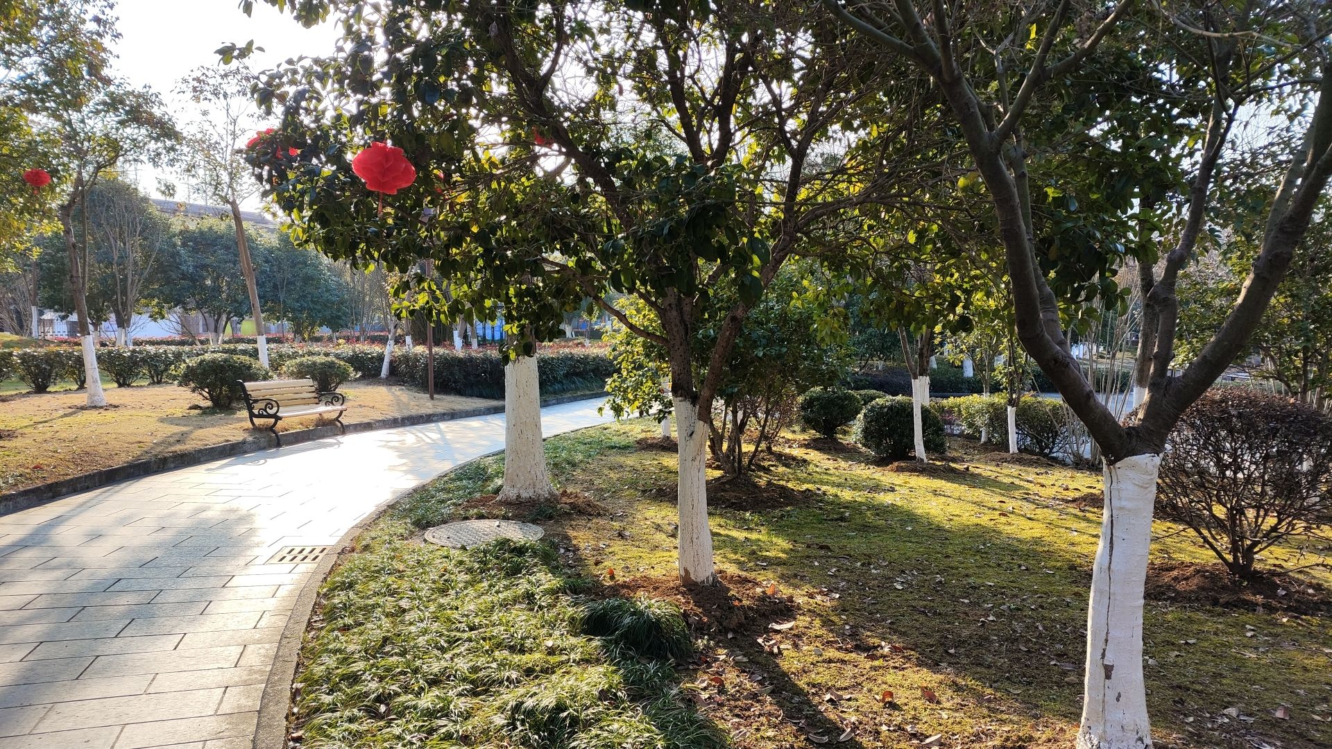 凤凰湖公园旅行图片