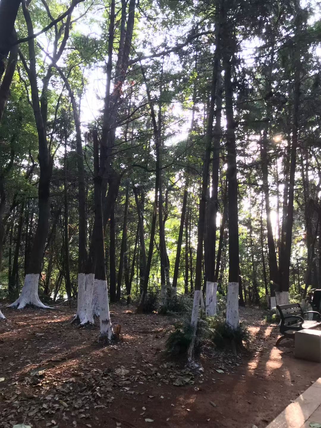 铜陵市城市风景