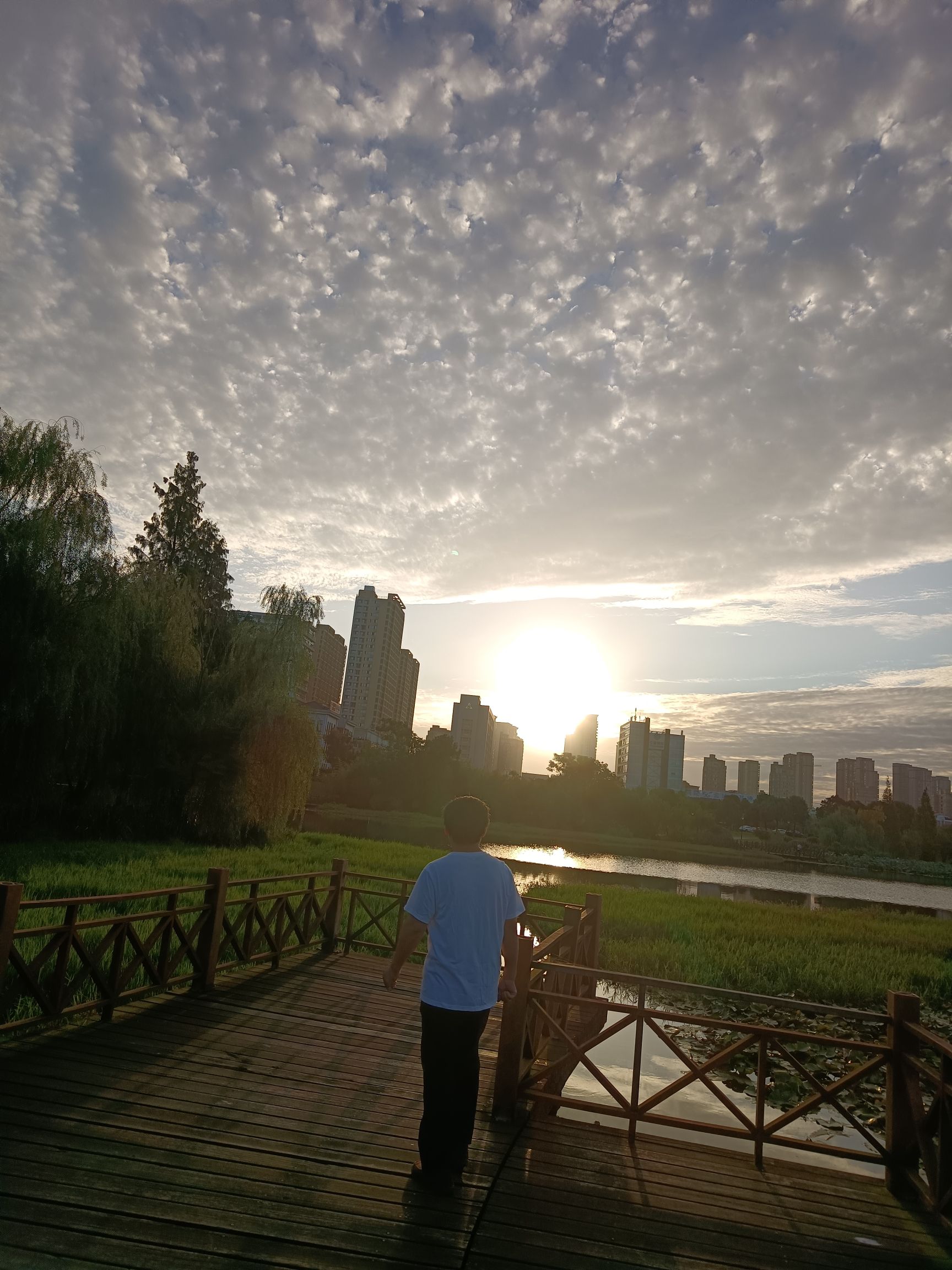 翠湖公园旅行图片