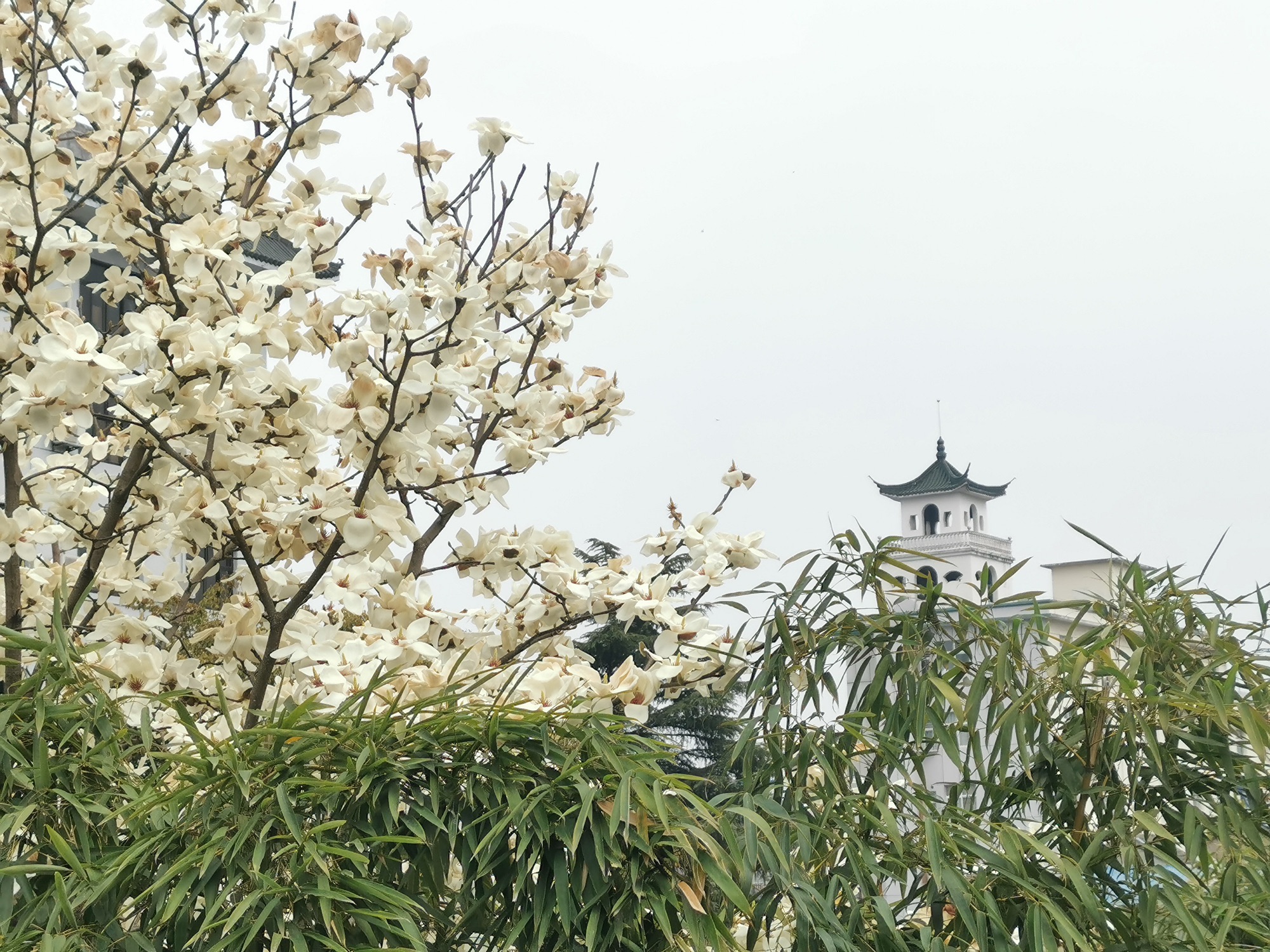 陋室公园