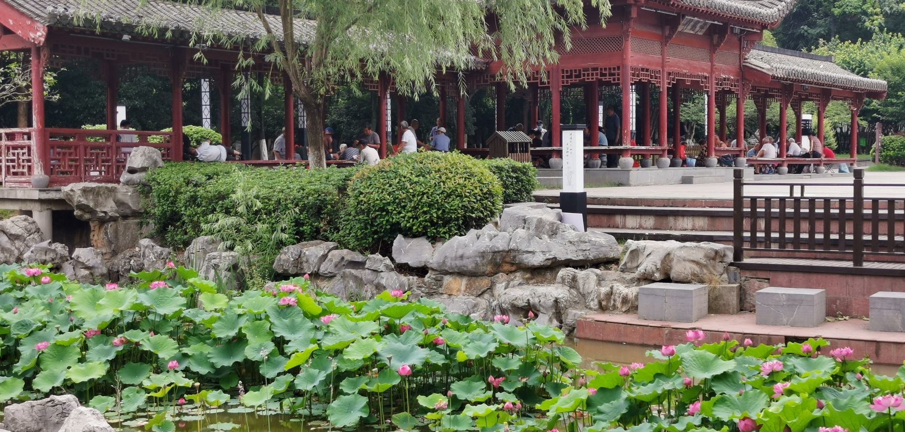 陋室公园旅行图片