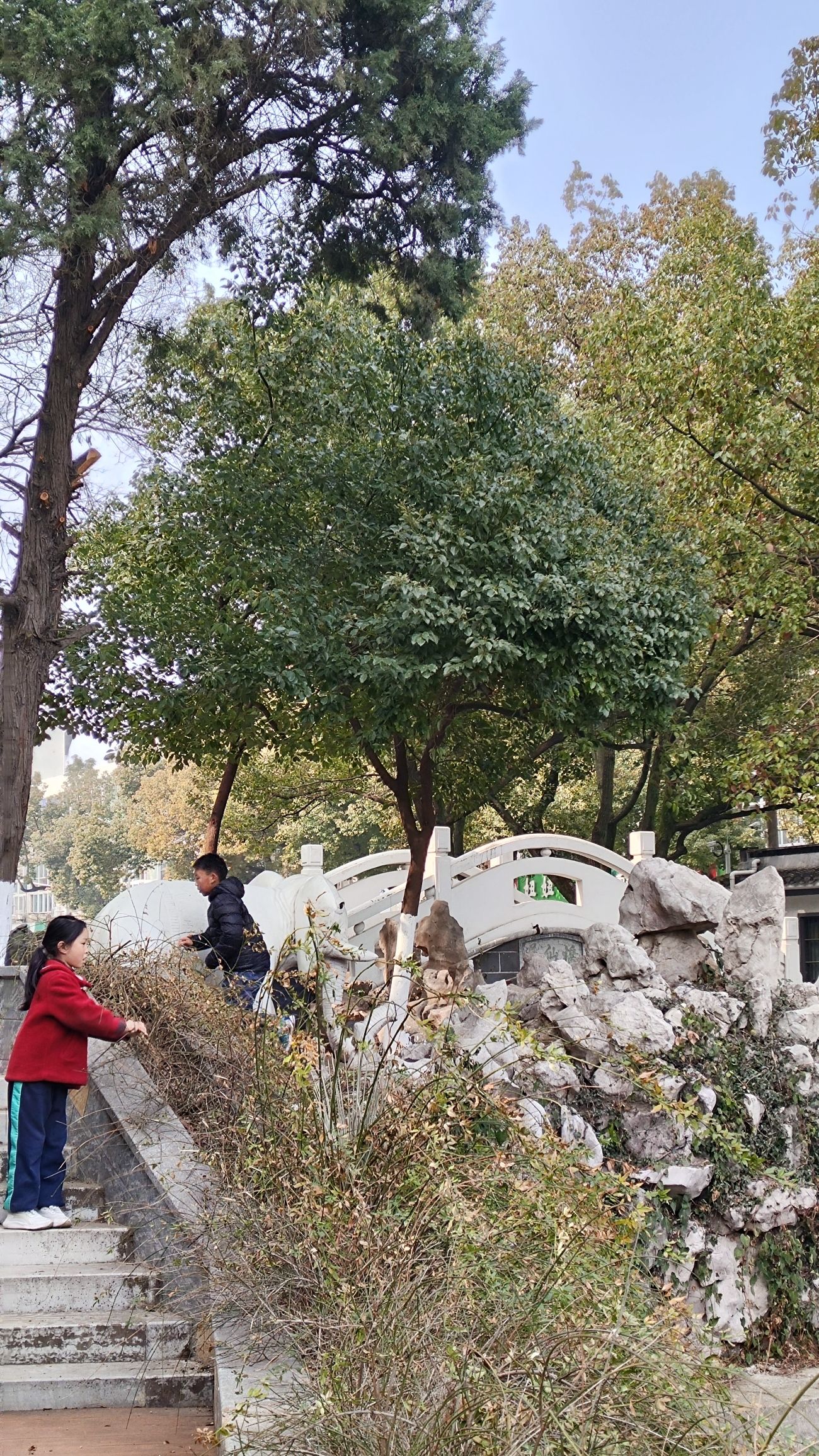 陋室公园旅行图片